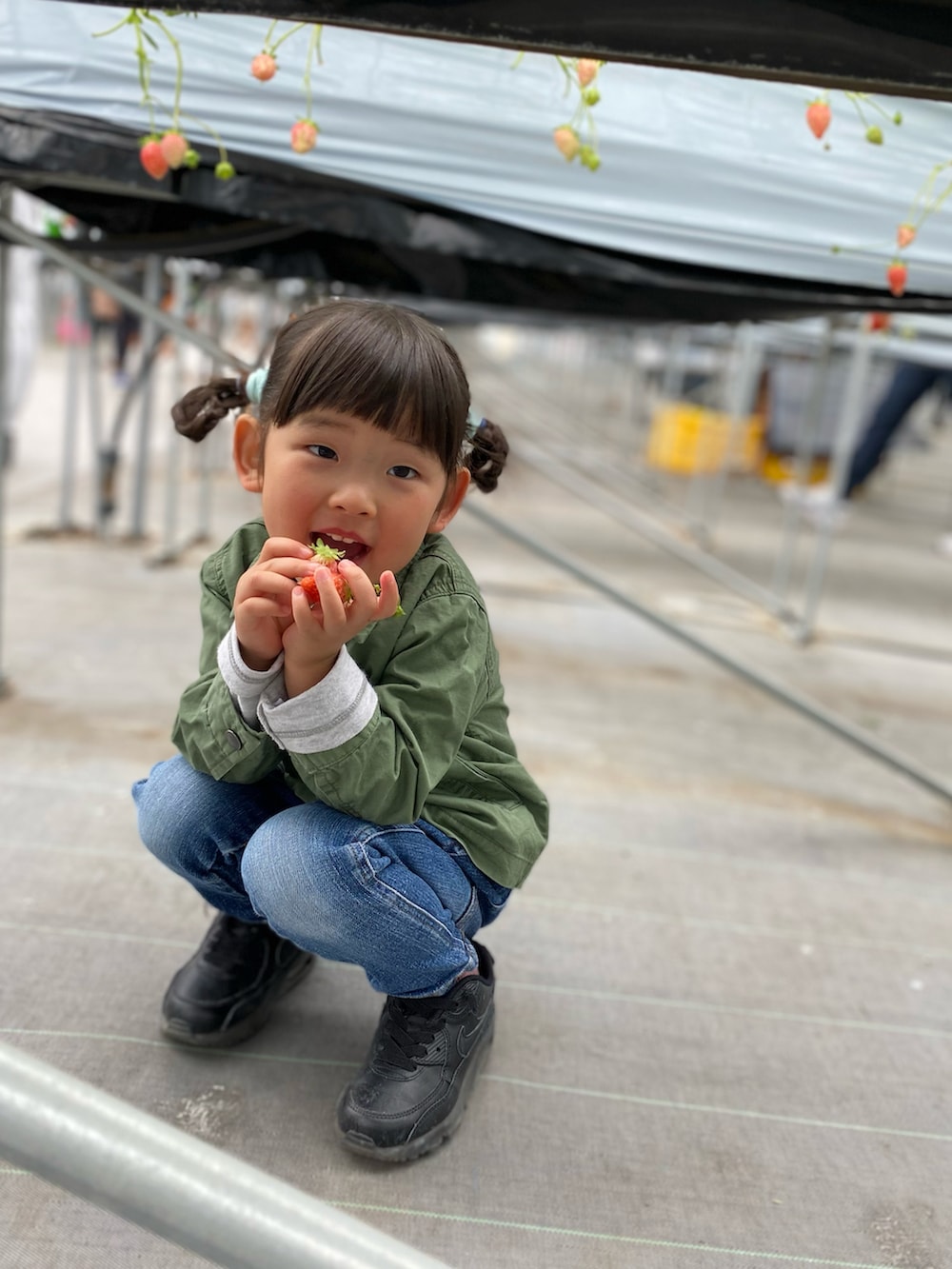 グリーン系のパンツ、ブルー系のシャツ/ブラウス、グリーン系のカバーオールを着用したキッズの春コーディネートの3枚目の写真