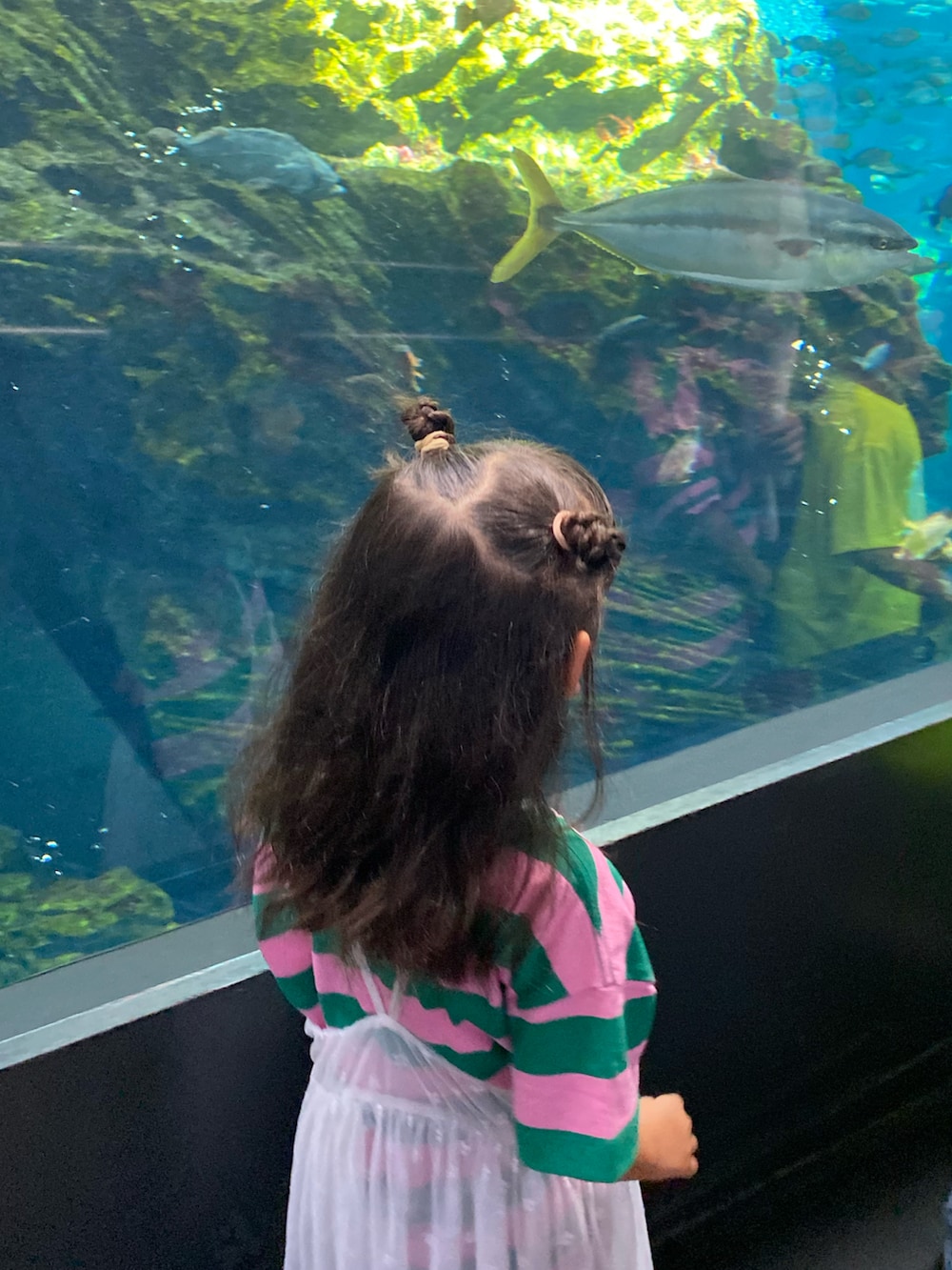 グリーン系のTシャツ/カットソー、グリーン系のTシャツ/カットソー、ブルー系のデニムパンツを着用したキッズの夏コーディネートの4枚目の写真