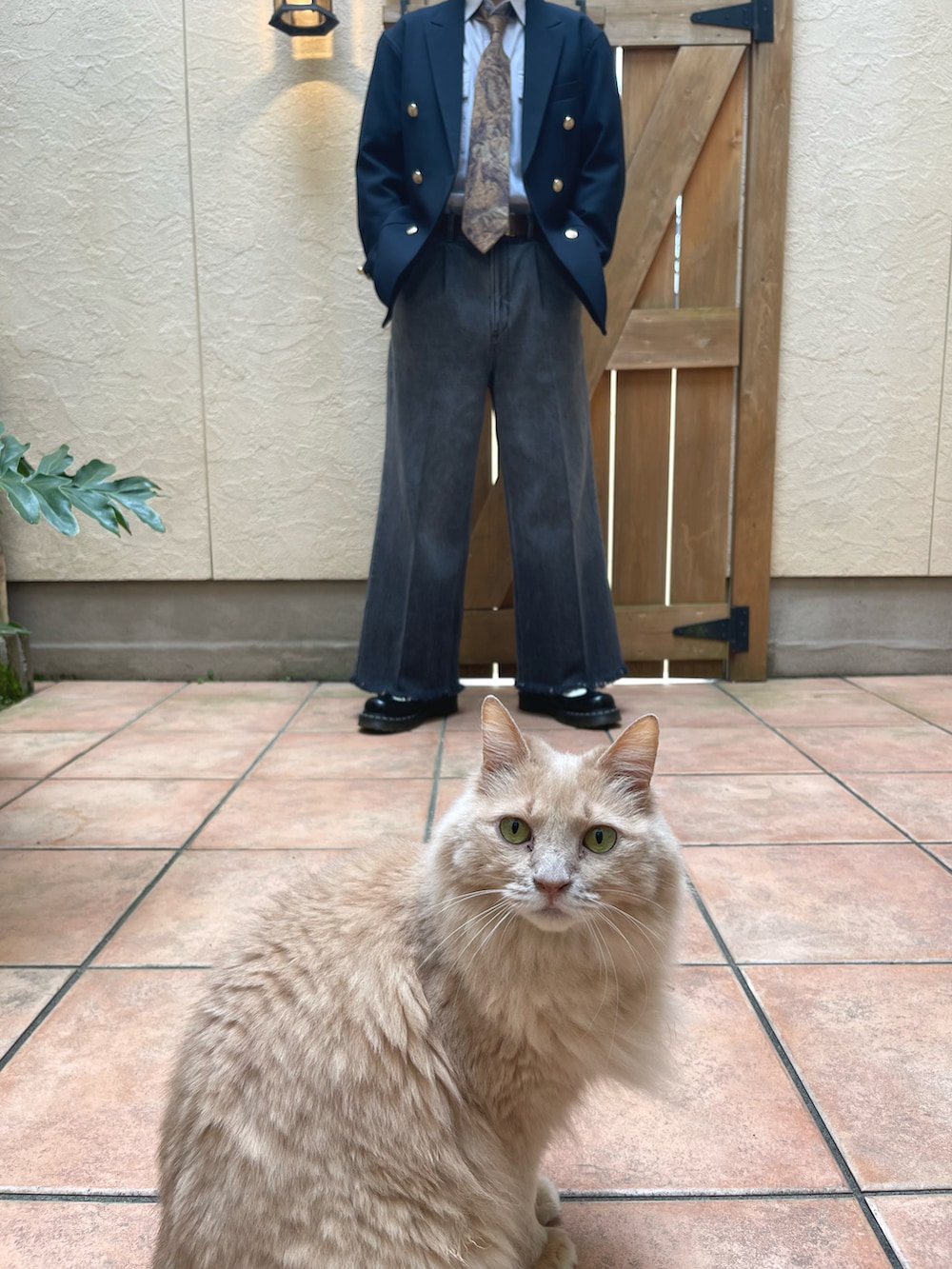 ブルー系のテーラードジャケット、グレー系のデニムパンツ、ゴールド系のネクタイを着用したメンズの春コーディネートの3枚目の写真