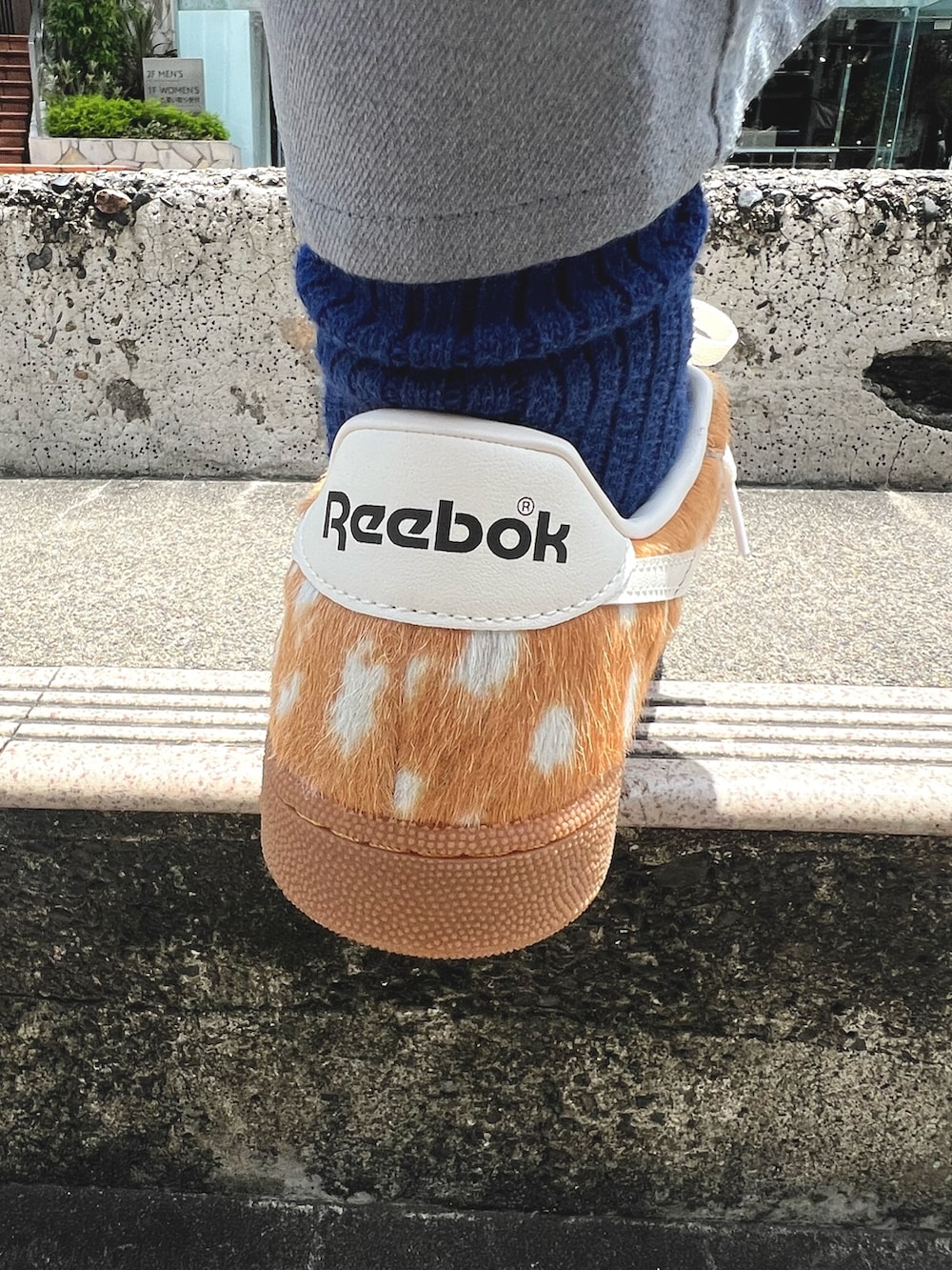コーディネート