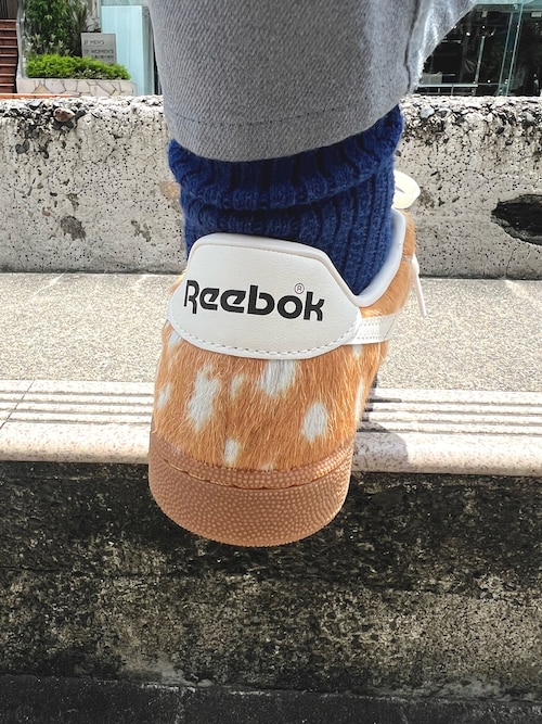 コーディネート