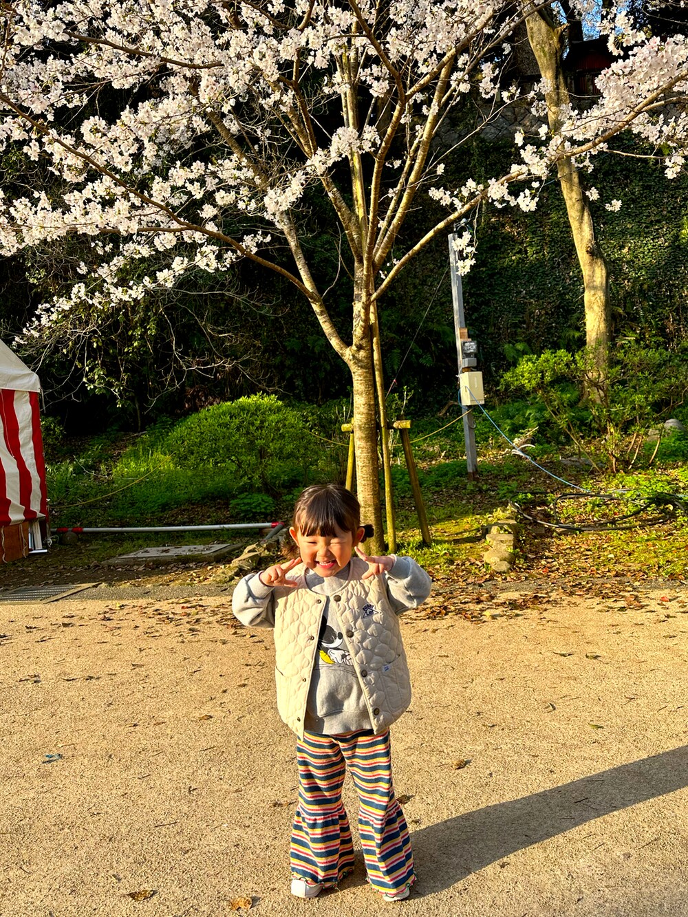「春めき満開コーデ、春色、お出かけコーデ、カジュアルコーデ、女の子コーデ、休日スタイル、公園コーデ、NIKE、スニーカー」｜「Leeのアイテム（その他アウター、ホワイト系）」を使った、chigiripanchan3442さん（キッズ・90cm）の春コーディネートの2枚目の写真