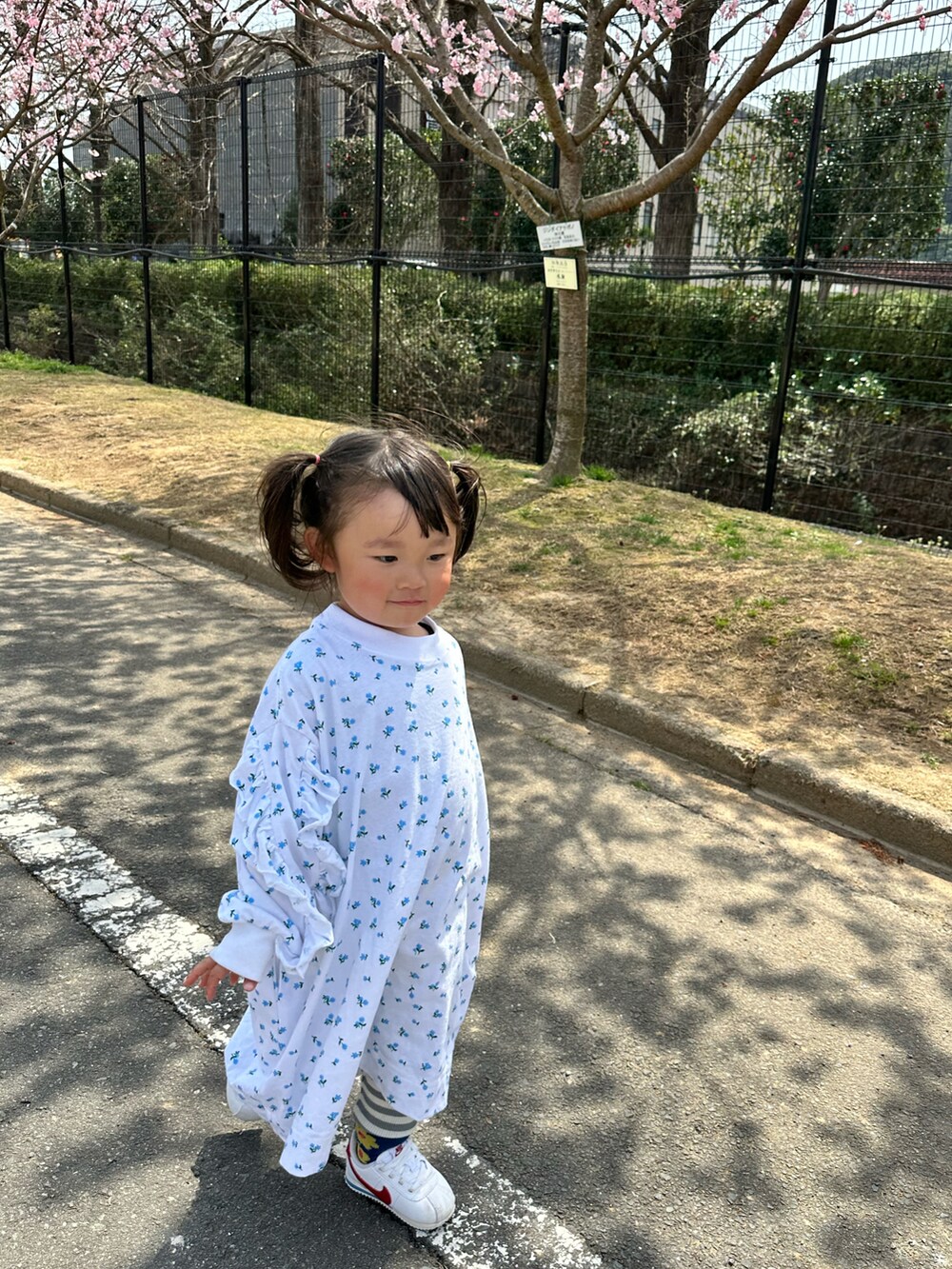 「春めき満開コーデ、春コーデ、キッズコーデ、キッズファッション、春色、女の子、おでかけコーデ、ボーダー、NIKE、ワンピース、お花見コーデ、ローリーズファーム(LOWRYS FARM)、LOWRYS FARM」｜「LOWRYS FARMのＵＳＡソデフリルワンピース　148563（ワンピース、ブルー系）」を使った、chigiripanchan3442さん（キッズ・90cm）の春コーディネートの2枚目の写真