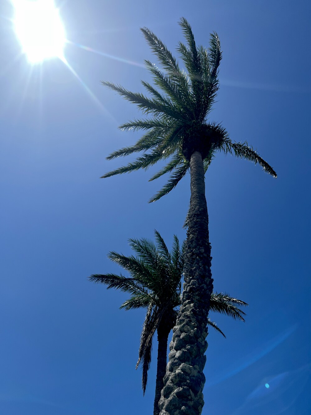 ブラック系のサンダル、ブラック系のその他パンツ、ホワイト系のTシャツ/カットソーを着用したメンズの秋コーディネートの3枚目の写真