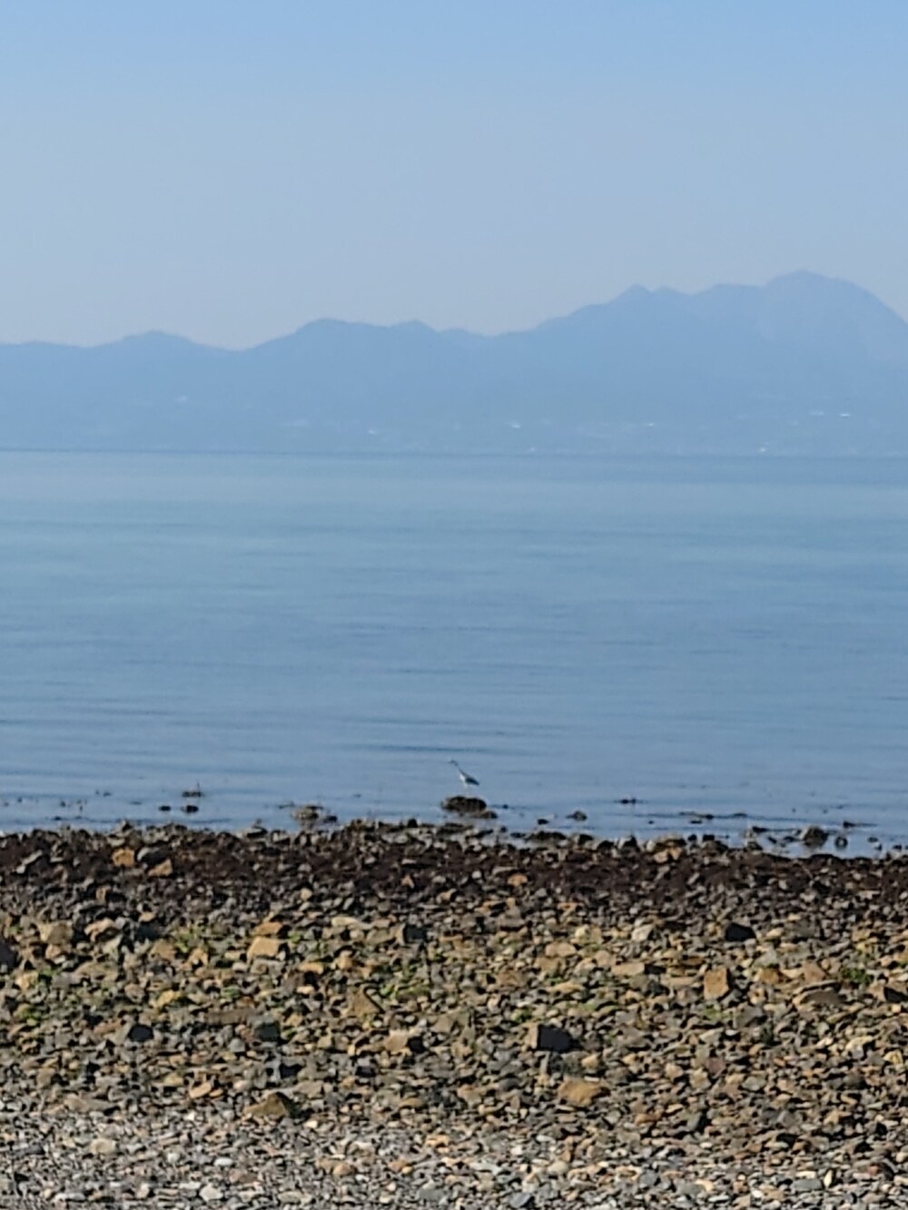 ホワイト系のTシャツ/カットソー、ホワイト系のスニーカー、ブラック系のパンツを着用したメンズの春コーディネートの2枚目の写真