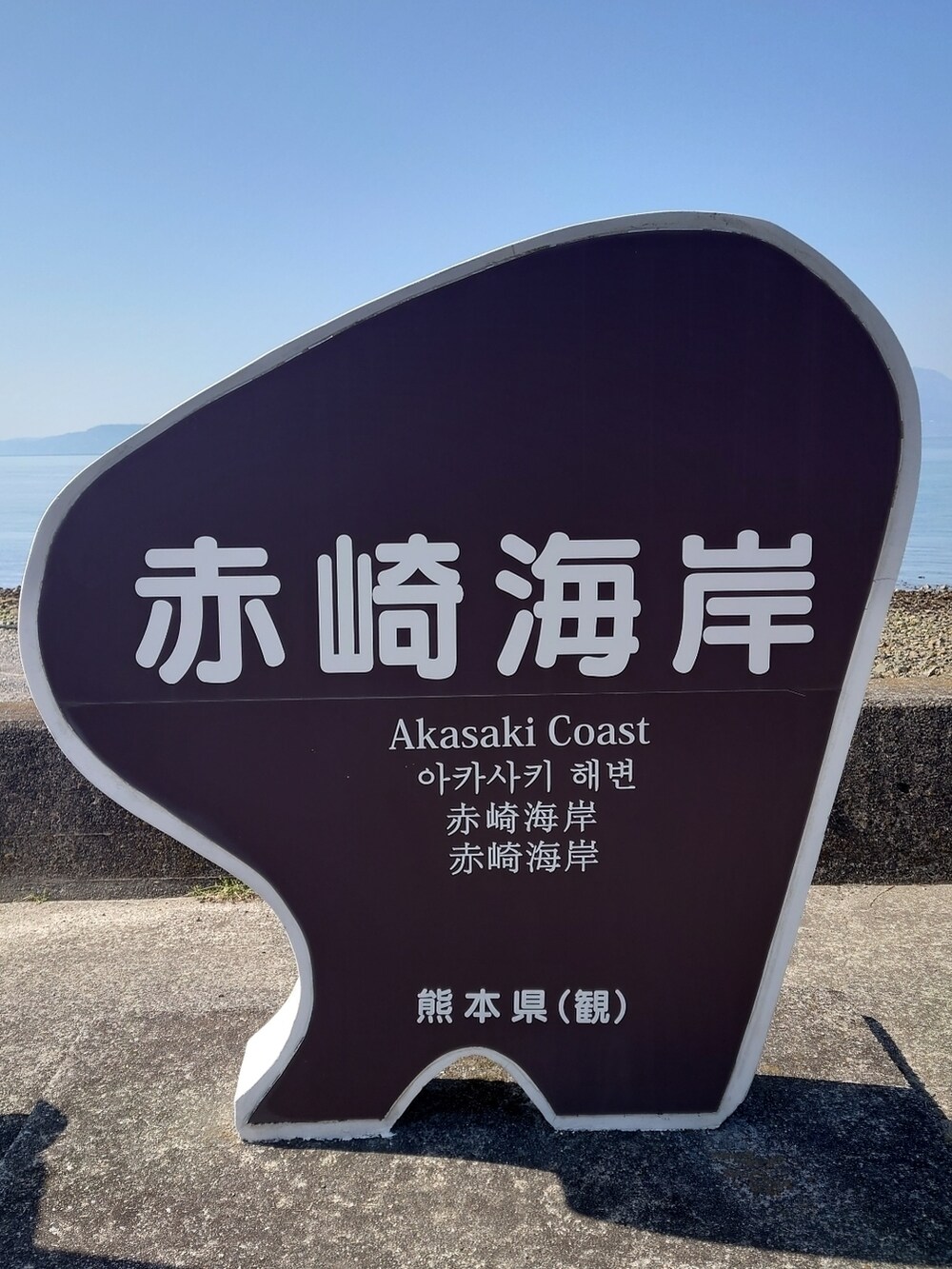 ホワイト系のTシャツ/カットソー、ホワイト系のスニーカー、ブラック系のパンツを着用したメンズの春コーディネートの3枚目の写真