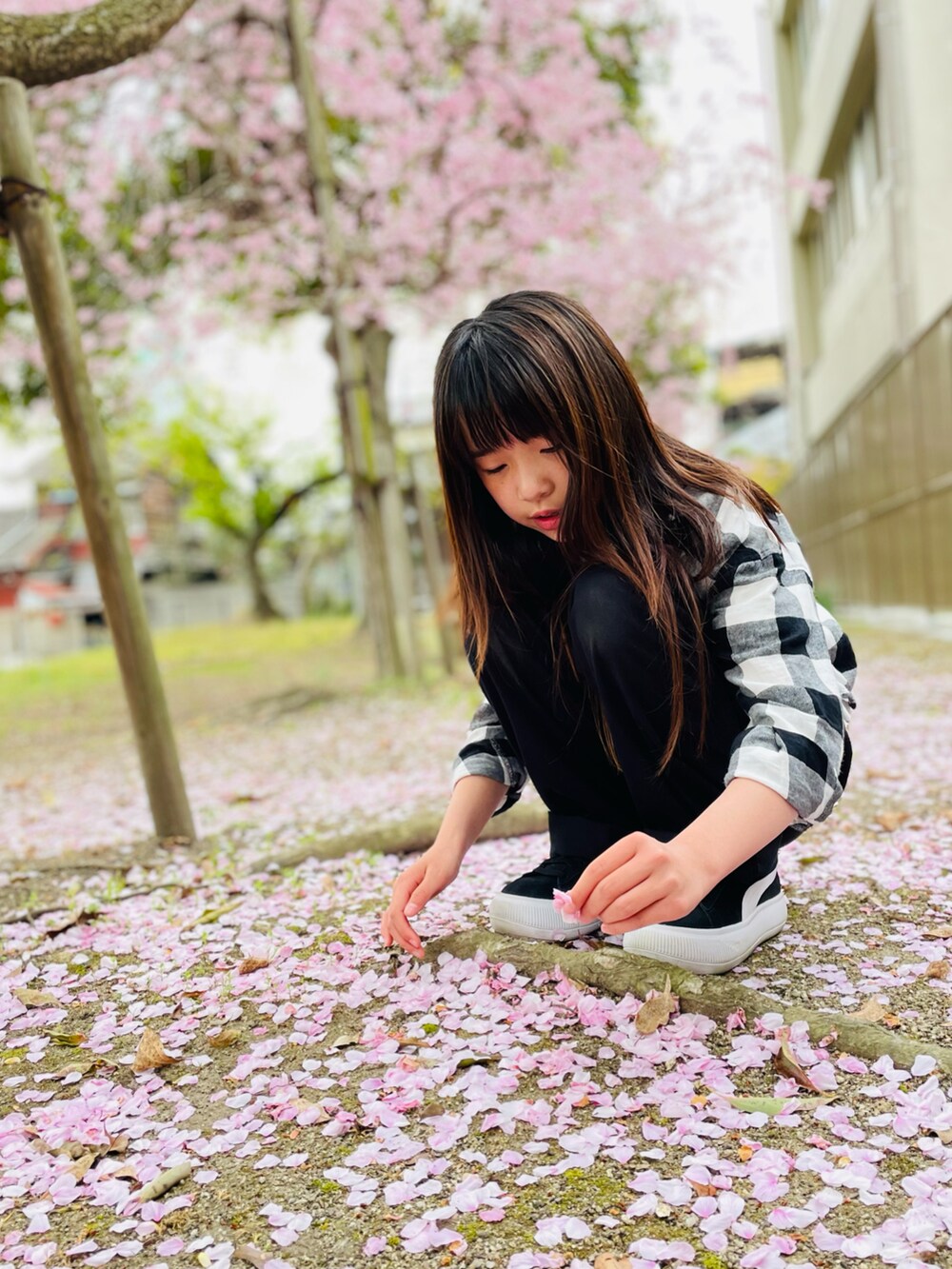 ホワイト系のTシャツ/カットソー、ブラック系のチノパンツ、ブラック系のスニーカーを着用したキッズの春コーディネートの3枚目の写真