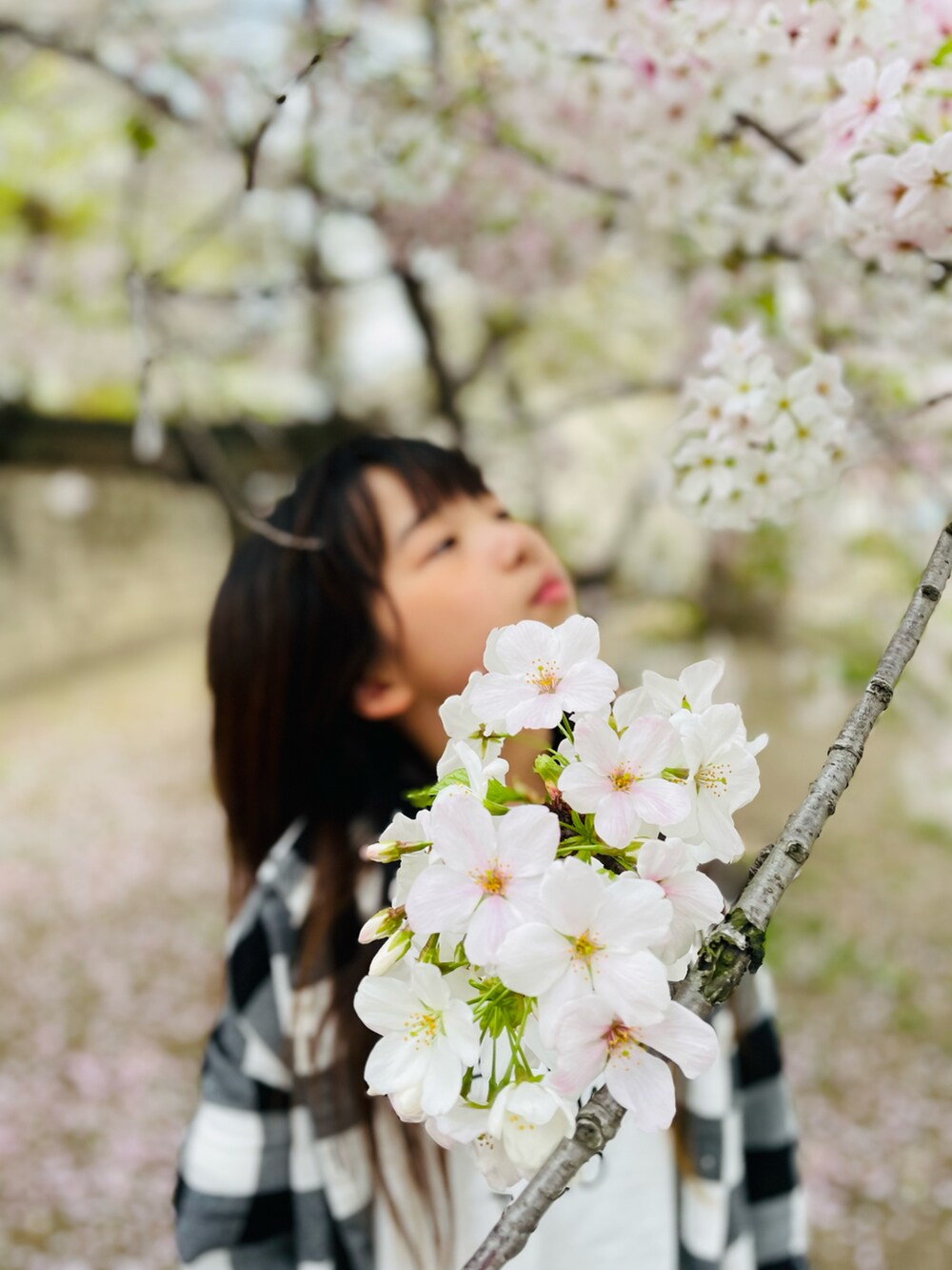 ホワイト系のTシャツ/カットソー、ブラック系のチノパンツ、ブラック系のスニーカーを着用したキッズの春コーディネートの4枚目の写真