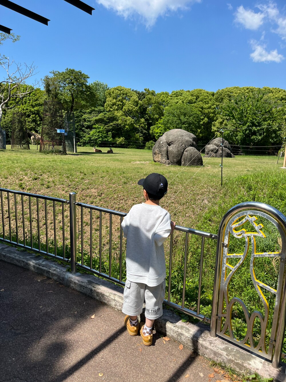 グレー系のトップス、グレー系のカーゴパンツ、ブラック系のキャップを着用したキッズの春コーディネートの4枚目の写真