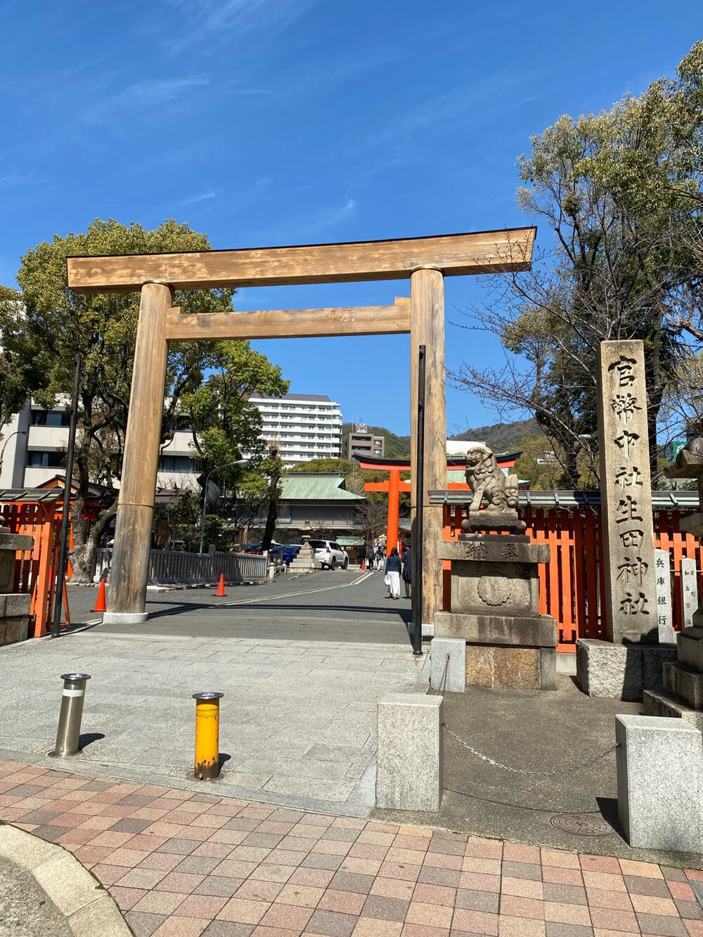 ブルー系のデニムジャケット、ブラック系のTシャツ/カットソー、ブラウン系のかごバッグを着用したレディースの春コーディネートの2枚目の写真