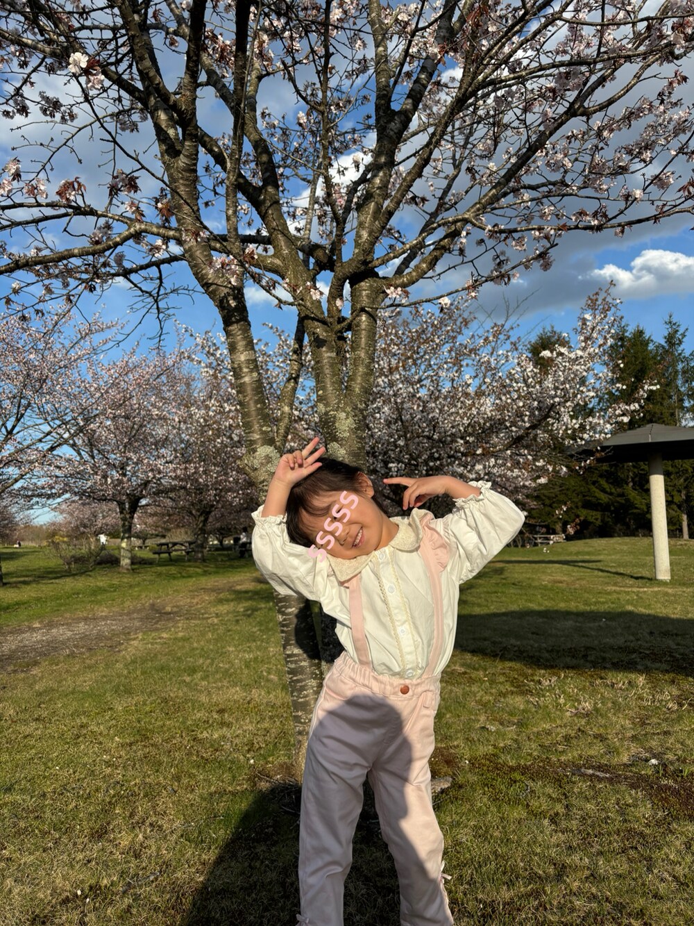 「キッズコーデ、キッズファッション、パンツコーデ、パンツ、桜、花見、お出かけコーデ、プチプラ、プチプラコーデ、4歳女の子、女の子、カジュアル、ピンク」｜「韓国子供服のアイテム（シャツ/ブラウス、ホワイト系）」を使った、ms.0202さん（キッズ・100cm）の夏コーディネートの2枚目の写真