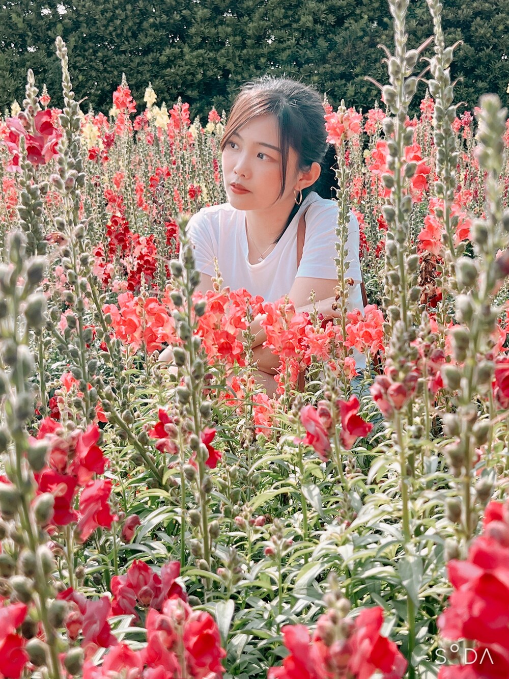 ホワイト系のTシャツ/カットソーを着用したレディースの春コーディネートの2枚目の写真