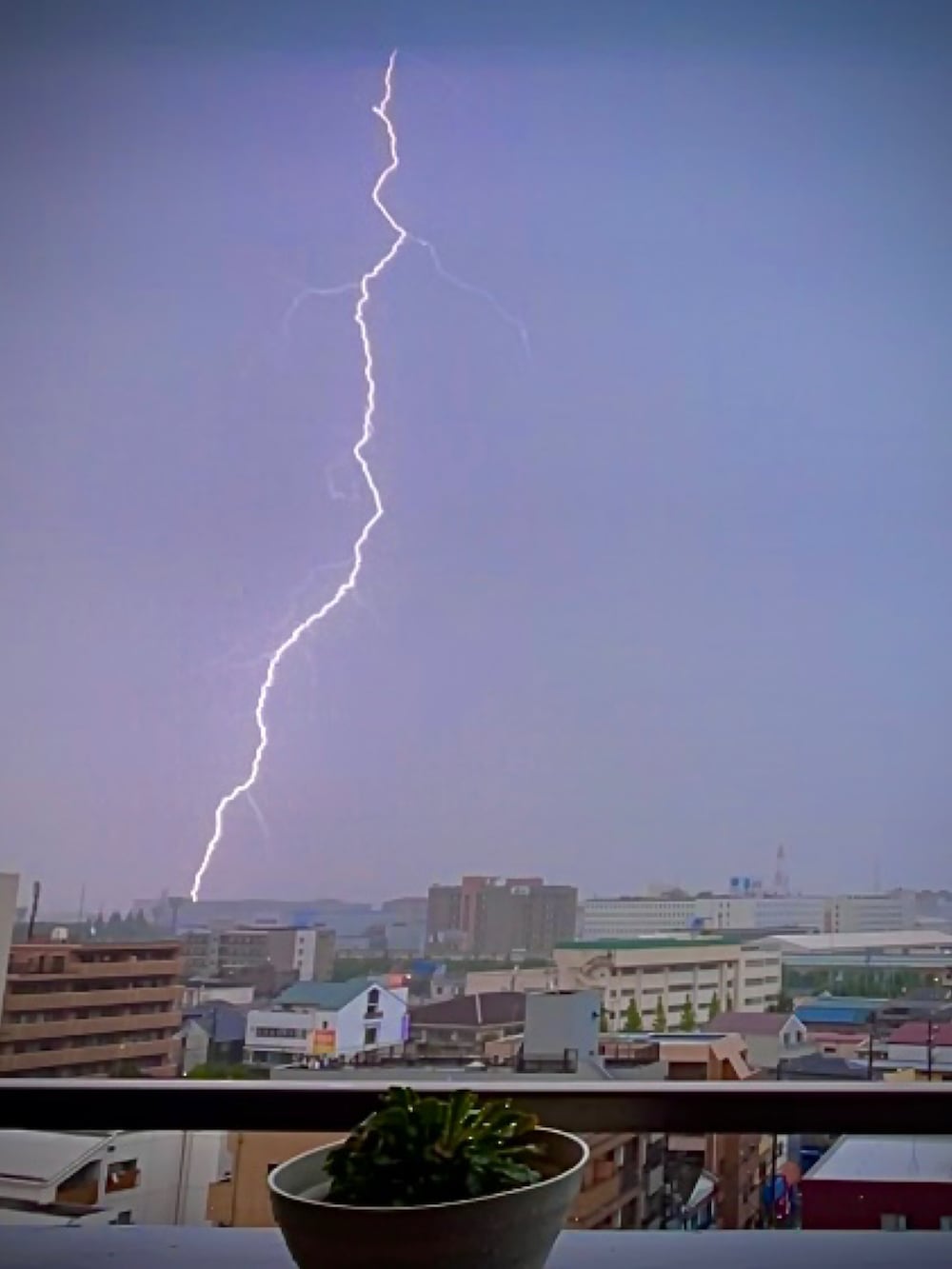 ブラック系のベスト、イエロー系のTシャツ/カットソー、ブラック系のパンツを着用したレディースの夏コーディネートの2枚目の写真