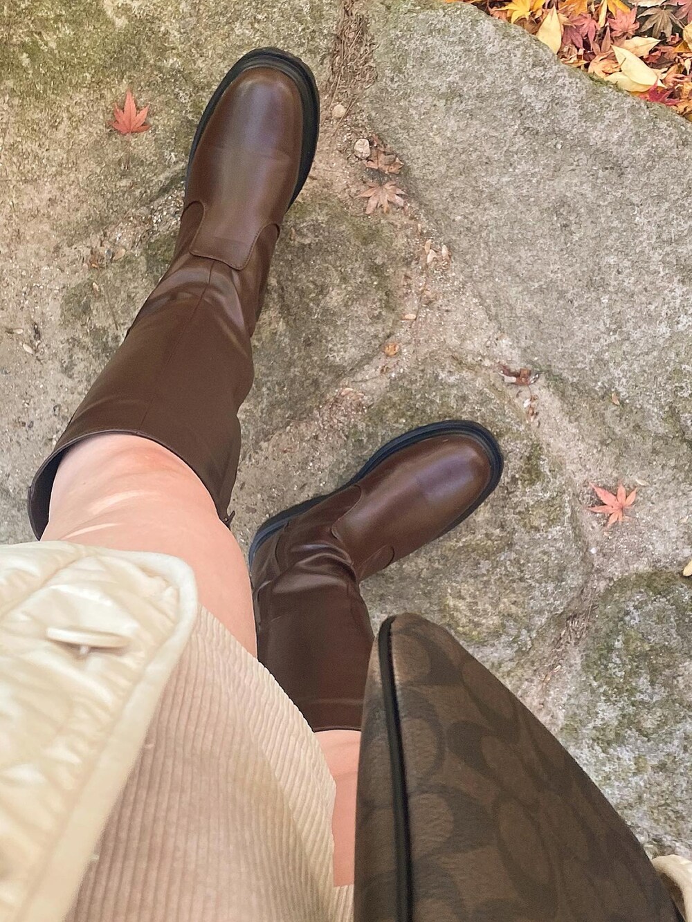 ホワイト系のトップス、ベージュ系のその他パンツ、ブラウン系のショルダーバッグを着用したレディースの冬コーディネートの4枚目の写真