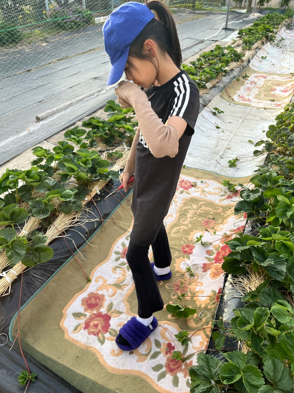 ブラック系のワンピース、ブラック系のパンツ、パープル系のサンダルを着用したキッズの春コーディネートの2枚目の写真