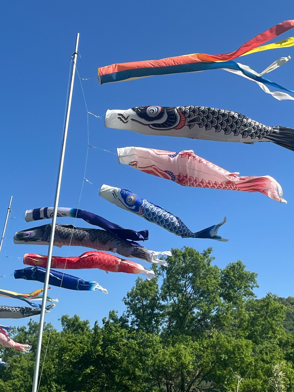 ブラック系のスニーカー、グレー系のスウェットパンツ、ブルー系のデニムジャケットを着用したキッズの春コーディネートの4枚目の写真