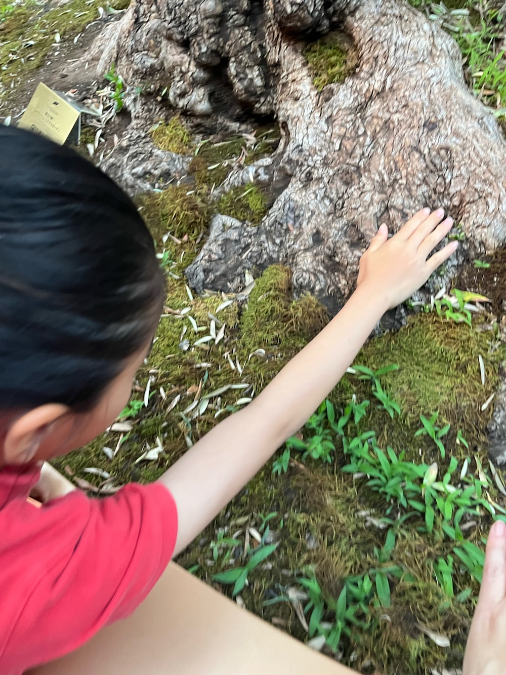 レッド系のポロシャツ、ブルー系のスカート、ピンク系のスニーカーを着用したキッズの夏コーディネートの3枚目の写真