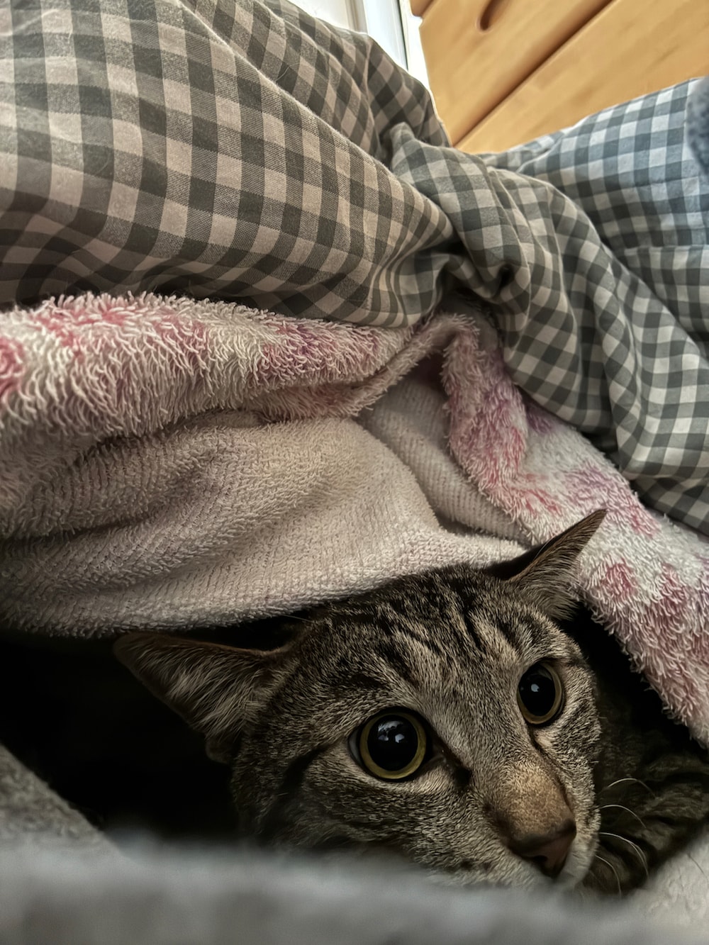 ブラック系のモカシン/デッキシューズ、ブラック系のその他アウター、グレー系のTシャツ/カットソーを着用したメンズの春コーディネートの4枚目の写真