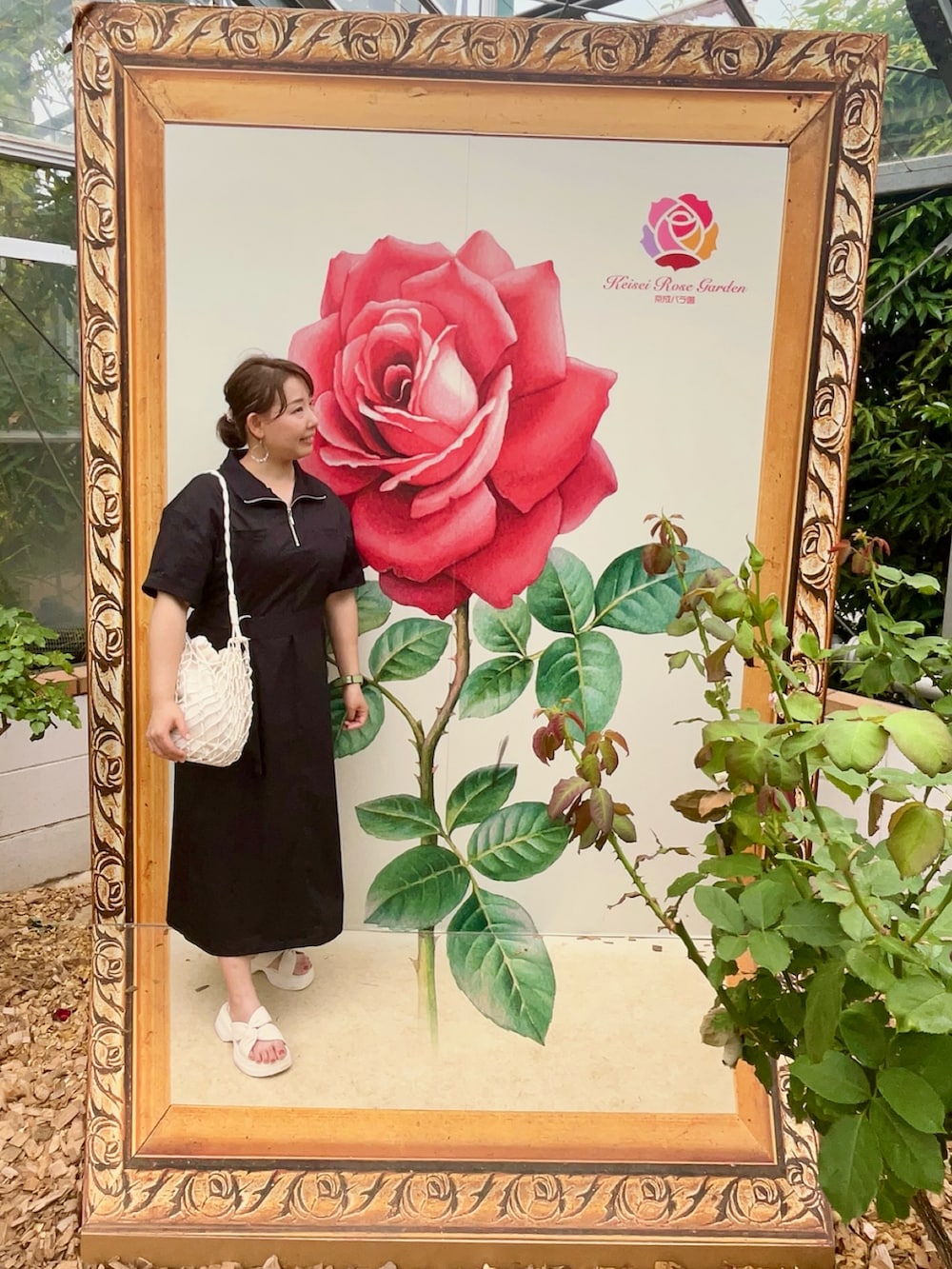 ホワイト系のサンダル、ブラック系のワンピース、ホワイト系のショルダーバッグを着用したレディースの夏コーディネートの2枚目の写真