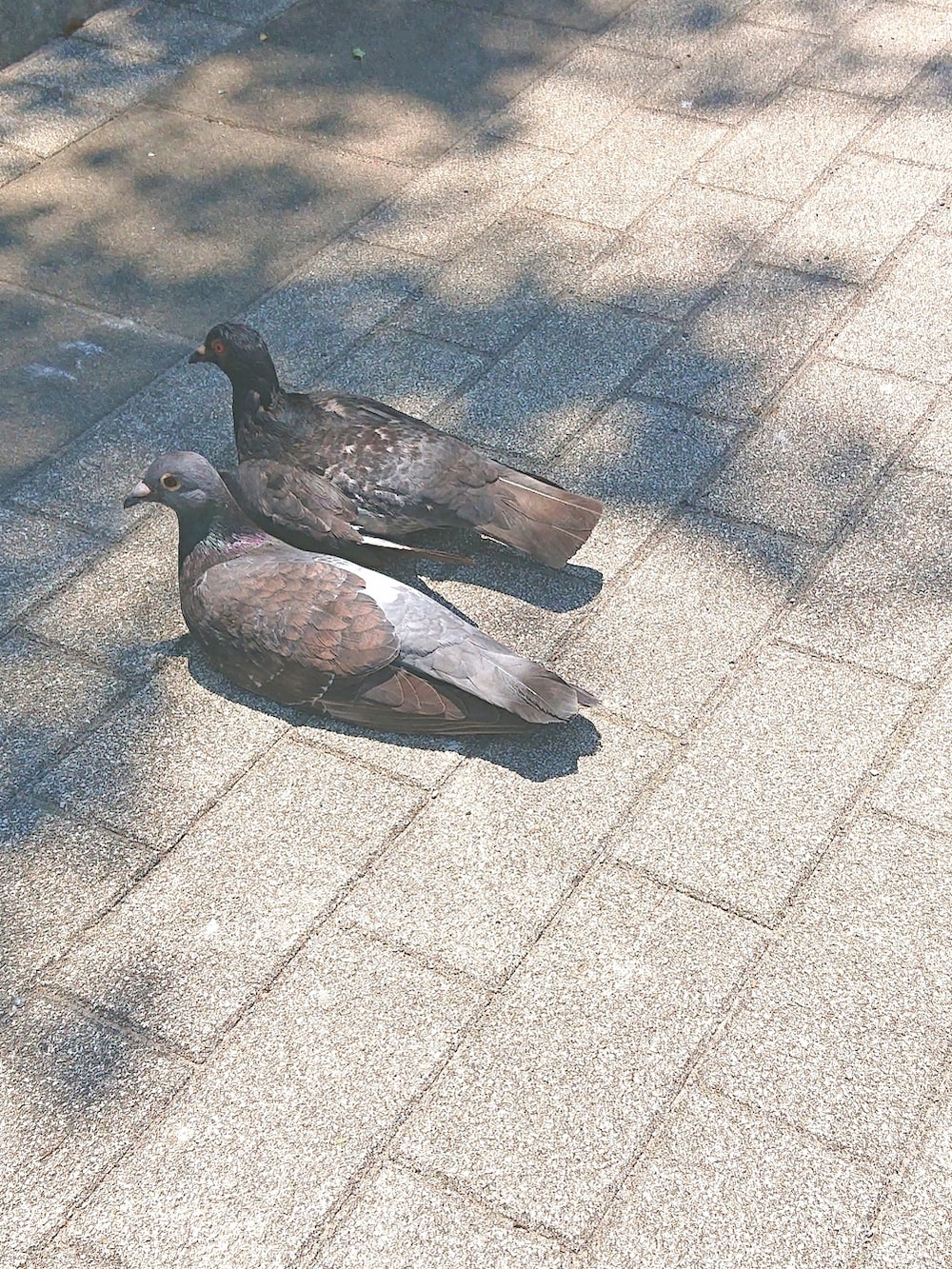 グレー系のパンツ、その他のシャツ/ブラウスを着用したメンズの夏コーディネートの2枚目の写真