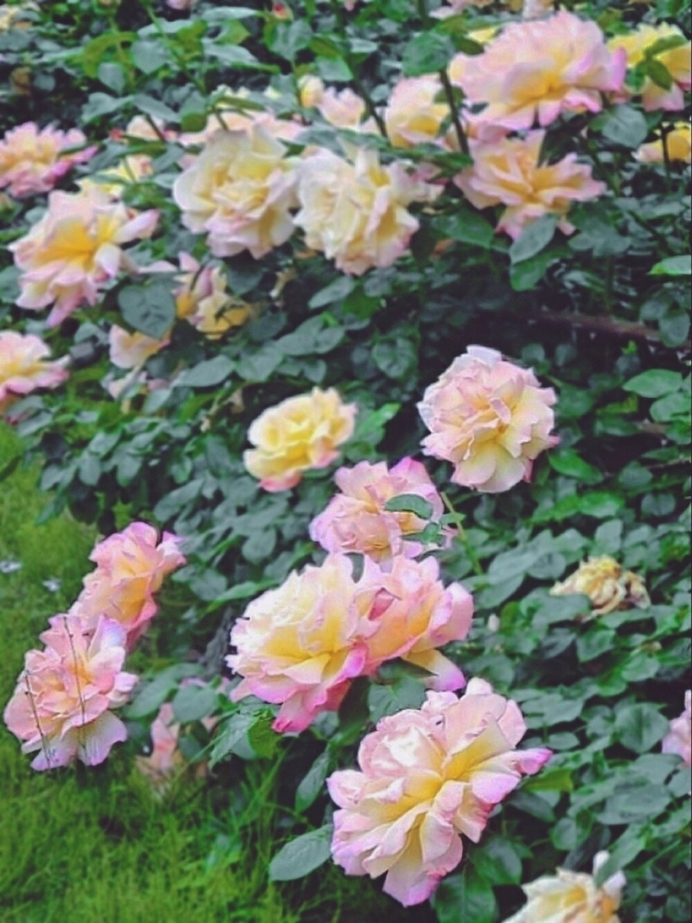 ブルー系のTシャツ/カットソー、ブラック系のパンツ、グレー系のキャップを着用したメンズの春コーディネートの2枚目の写真