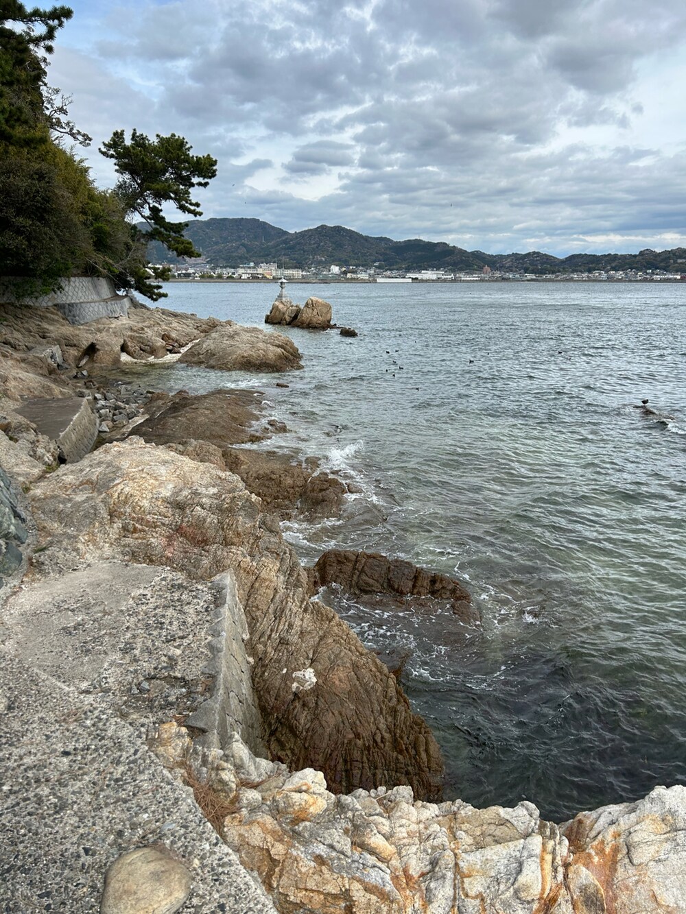グレー系のTシャツ/カットソー、ブラック系のパンツ、ブラック系のスニーカーを着用したレディースの春コーディネートの3枚目の写真