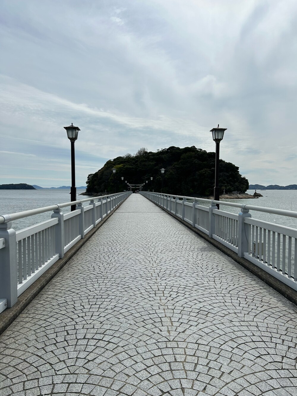 グレー系のTシャツ/カットソー、ブラック系のパンツ、ブラック系のスニーカーを着用したレディースの春コーディネートの2枚目の写真