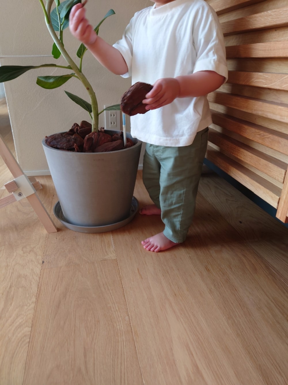 ホワイト系のTシャツ/カットソー、ベージュ系のチノパンツを着用したレディースの春コーディネートの2枚目の写真