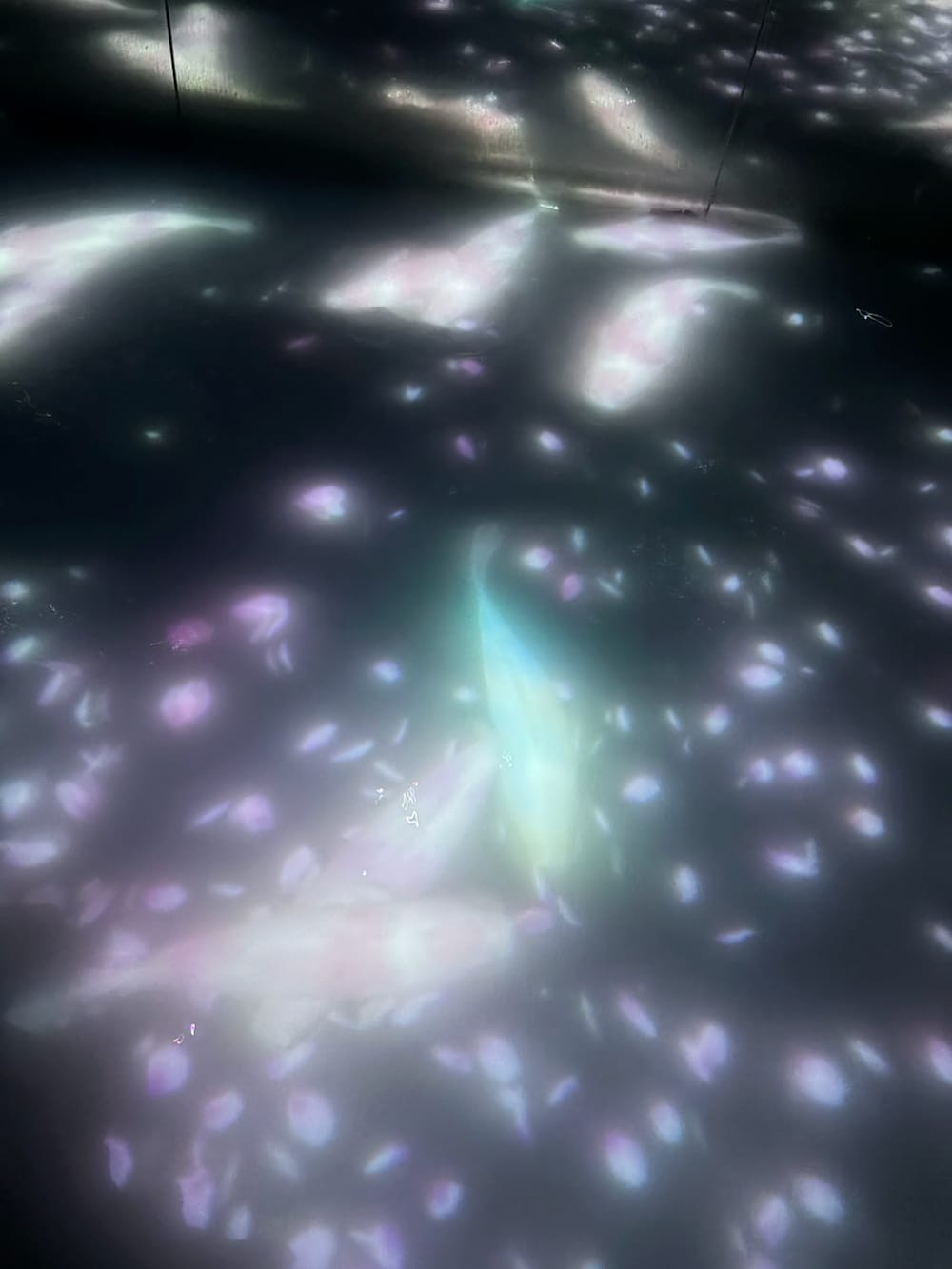 ブルー系のカーゴパンツ、グレー系のスニーカー、ブルー系のシャツ/ブラウスを着用したレディースの春コーディネートの4枚目の写真