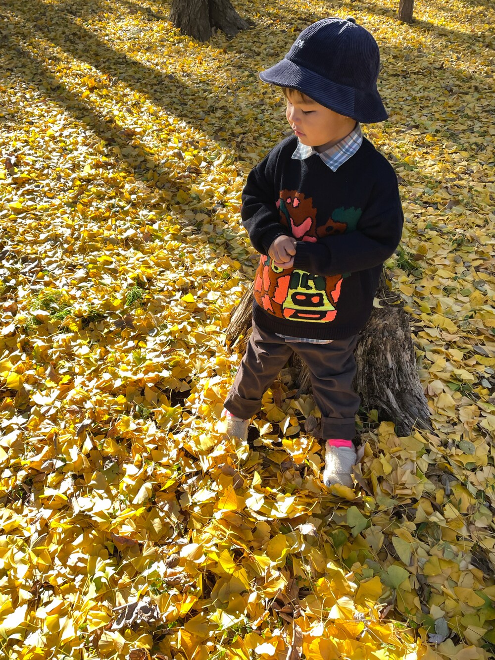 ブルー系のニット/セーター、グレー系のその他パンツ、ベージュ系のスニーカーを着用したキッズの冬コーディネートの2枚目の写真