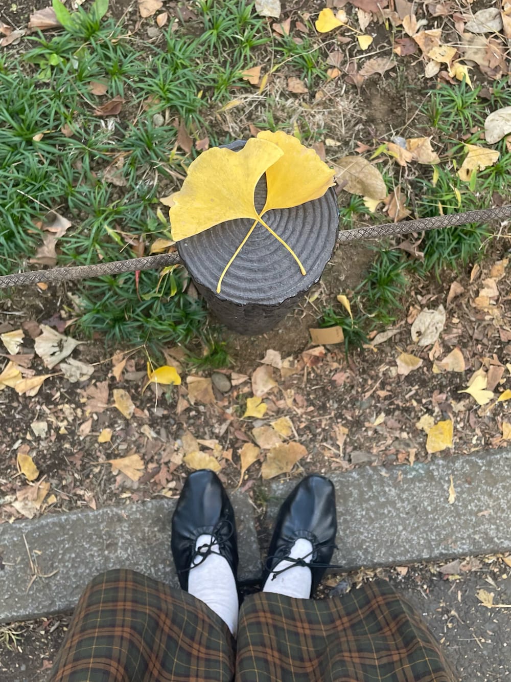 レッド系のニット/セーター、ホワイト系のシャツ/ブラウス、ブラック系のショルダーバッグを着用したレディースの春コーディネートの2枚目の写真