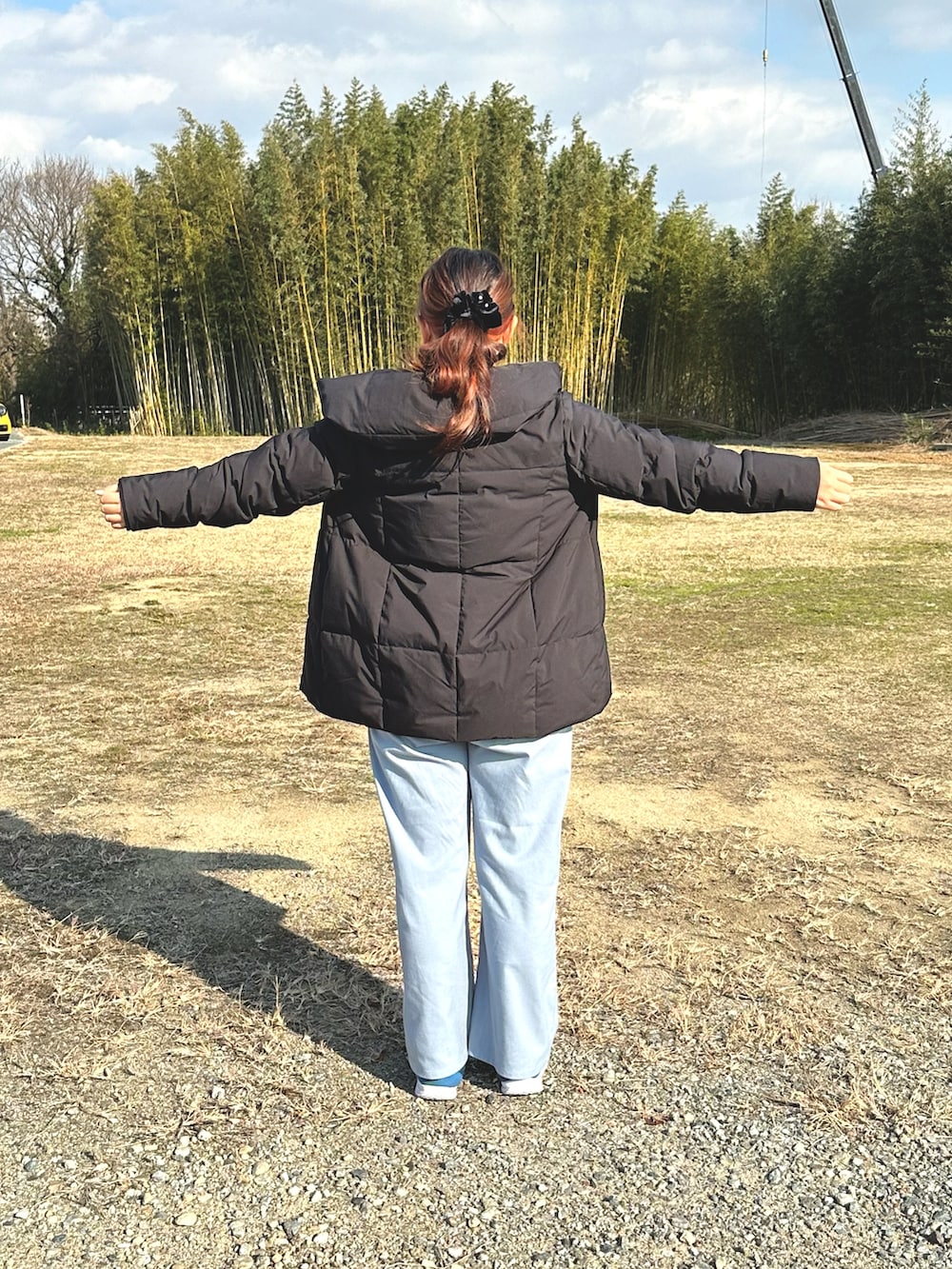 ブラウン系のニット/セーター、ブルー系のスニーカー、ブルー系のチノパンツを着用したレディースの冬コーディネートの2枚目の写真