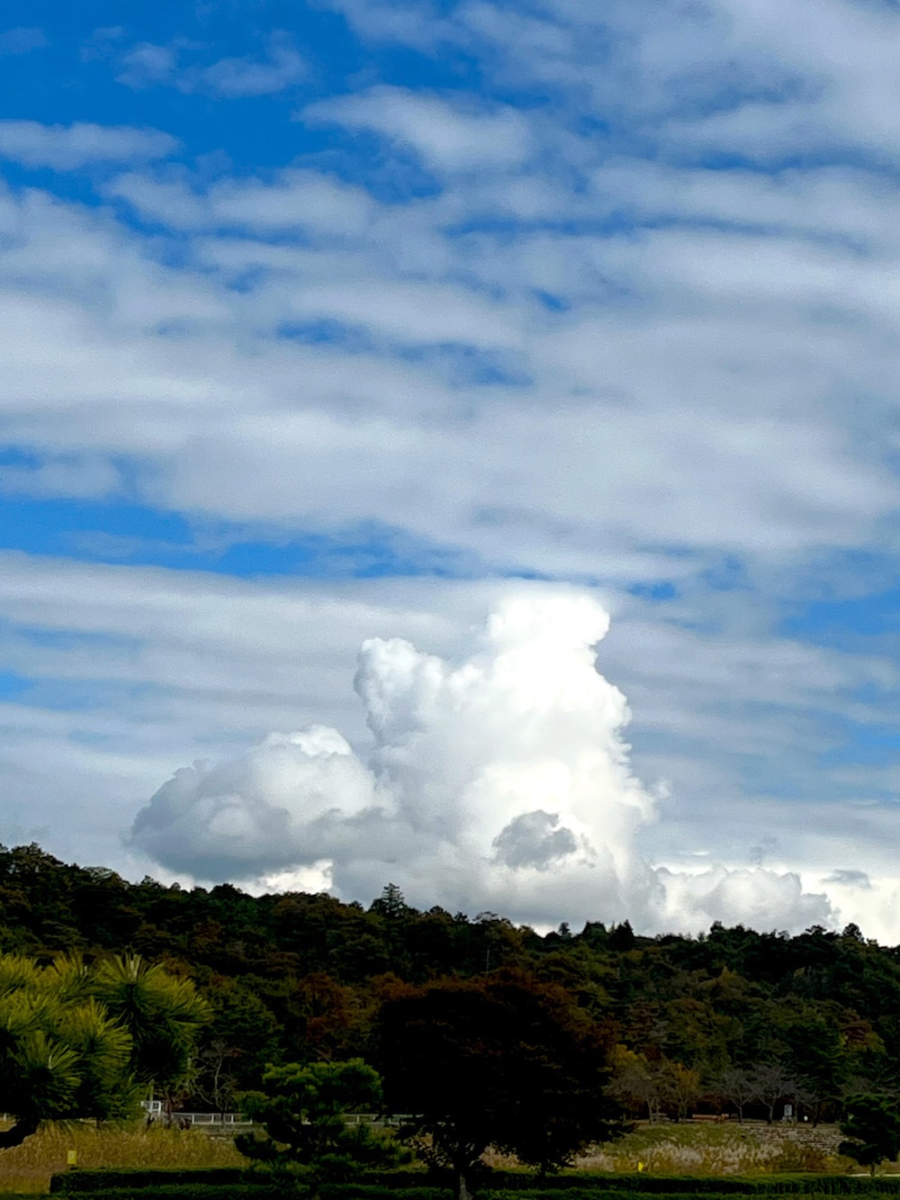 イエロー系のブルゾン、ブラウン系のスカート、ホワイト系のシャツ/ブラウスを着用したレディースの秋コーディネートの3枚目の写真