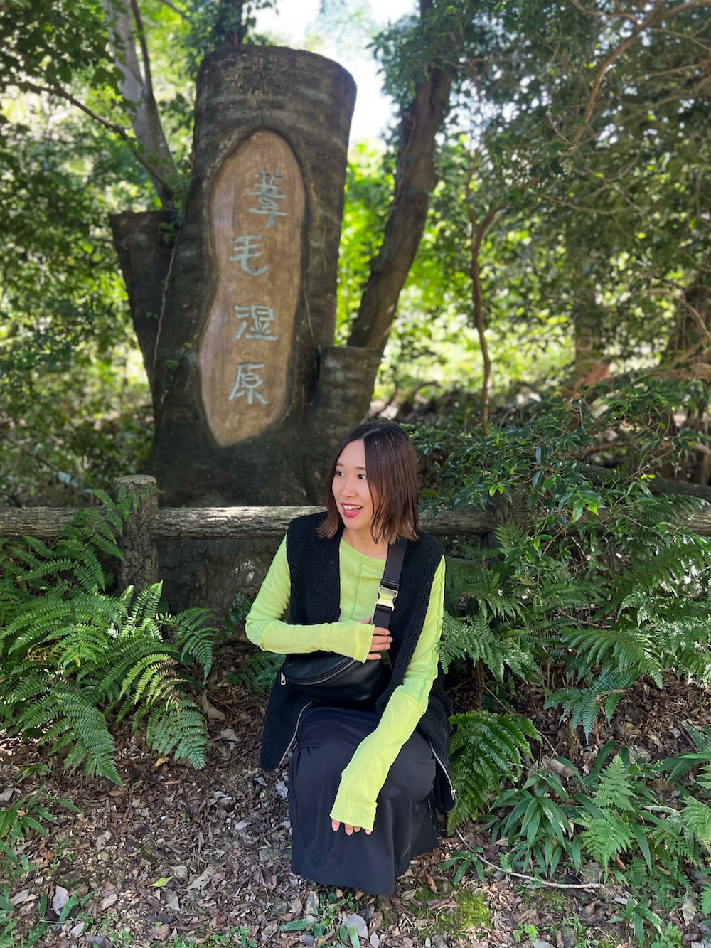 グリーン系のTシャツ/カットソー、ブラック系のベスト、ブラック系のスカートを着用したレディースの秋コーディネートの2枚目の写真