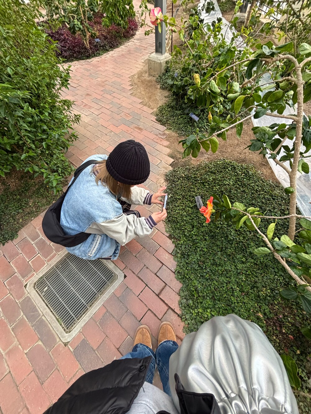 レッド系のスニーカーを着用したレディースの夏コーディネートの2枚目の写真