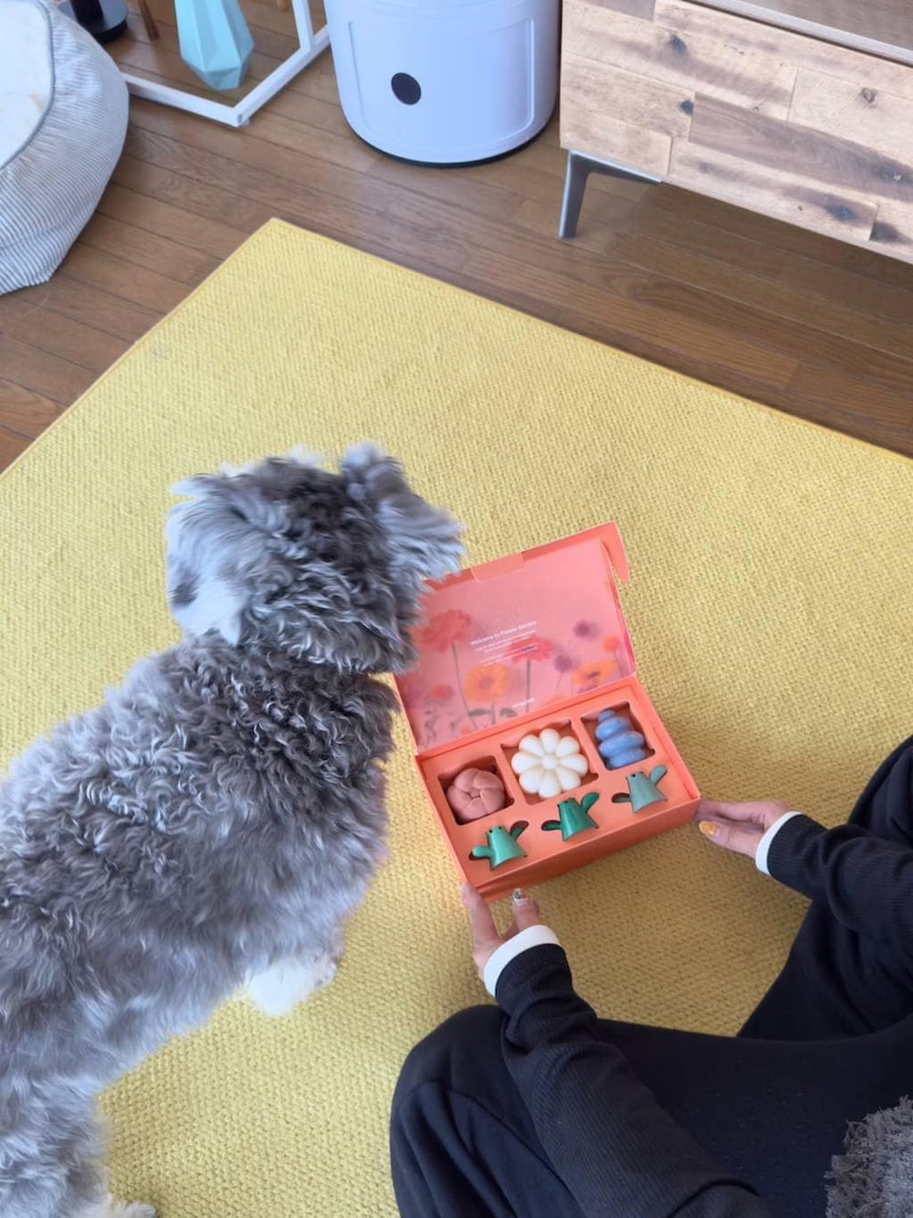 ブラック系のTシャツ/カットソー、ブラック系のスウェットパンツ、グレー系のベストを着用したレディースの春コーディネートの5枚目の写真