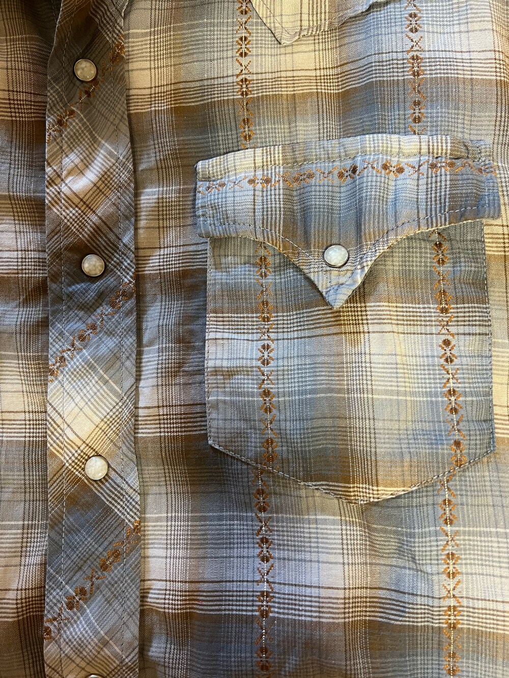 「ヴィンテージ、ウエスタンシャツ、オンブレーチェックシャツ、60’s、Cody Fry、Cory Wong、funk」|「VINTAGEの60s LEVI’S Ombre Check Western Shirt (サドルマンタグ)(シャツ/ブラウス、その他)」を使った、Rさん(メンズ・244cm)の夏コーディネートの2枚目の写真