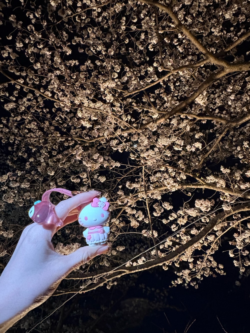 「低身長、低身長コーデ、低身長女子、ピンク、pink、春、桜、お花見コーデ、レース、LAKOLE、ローリーズファーム(LOWRYS FARM)、INGNI、キティちゃん」｜「INGNIのレースフリルミニスカパン／Ａ（スカート、ホワイト系）」を使った、モエさん（レディース・148cm）の春コーディネートの3枚目の写真
