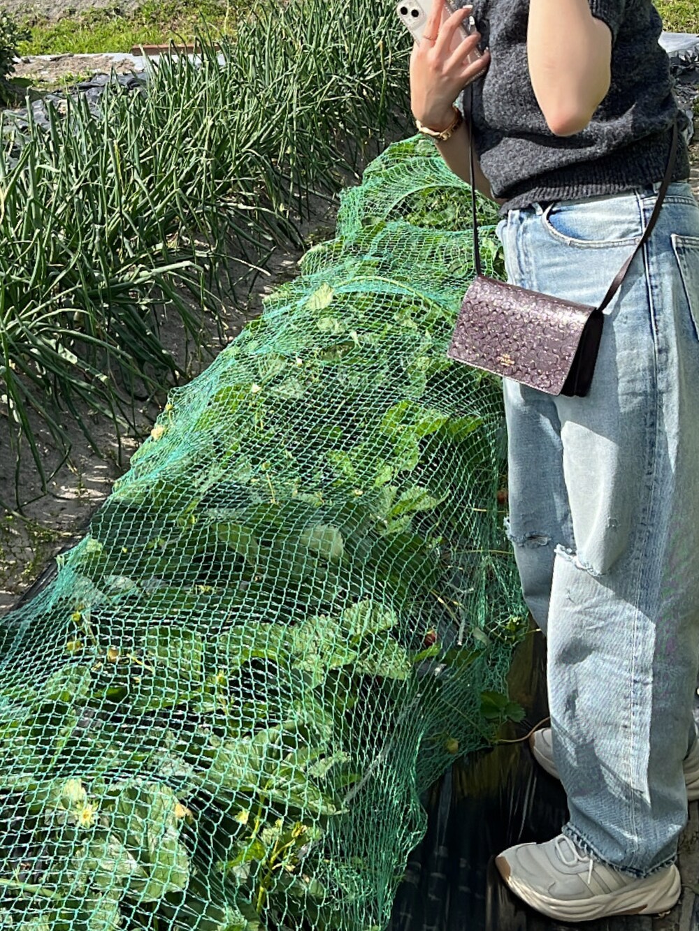 グレー系のニット/セーター、ブルー系のデニムパンツ、パープル系のショルダーバッグを着用したレディースの春コーディネートの2枚目の写真