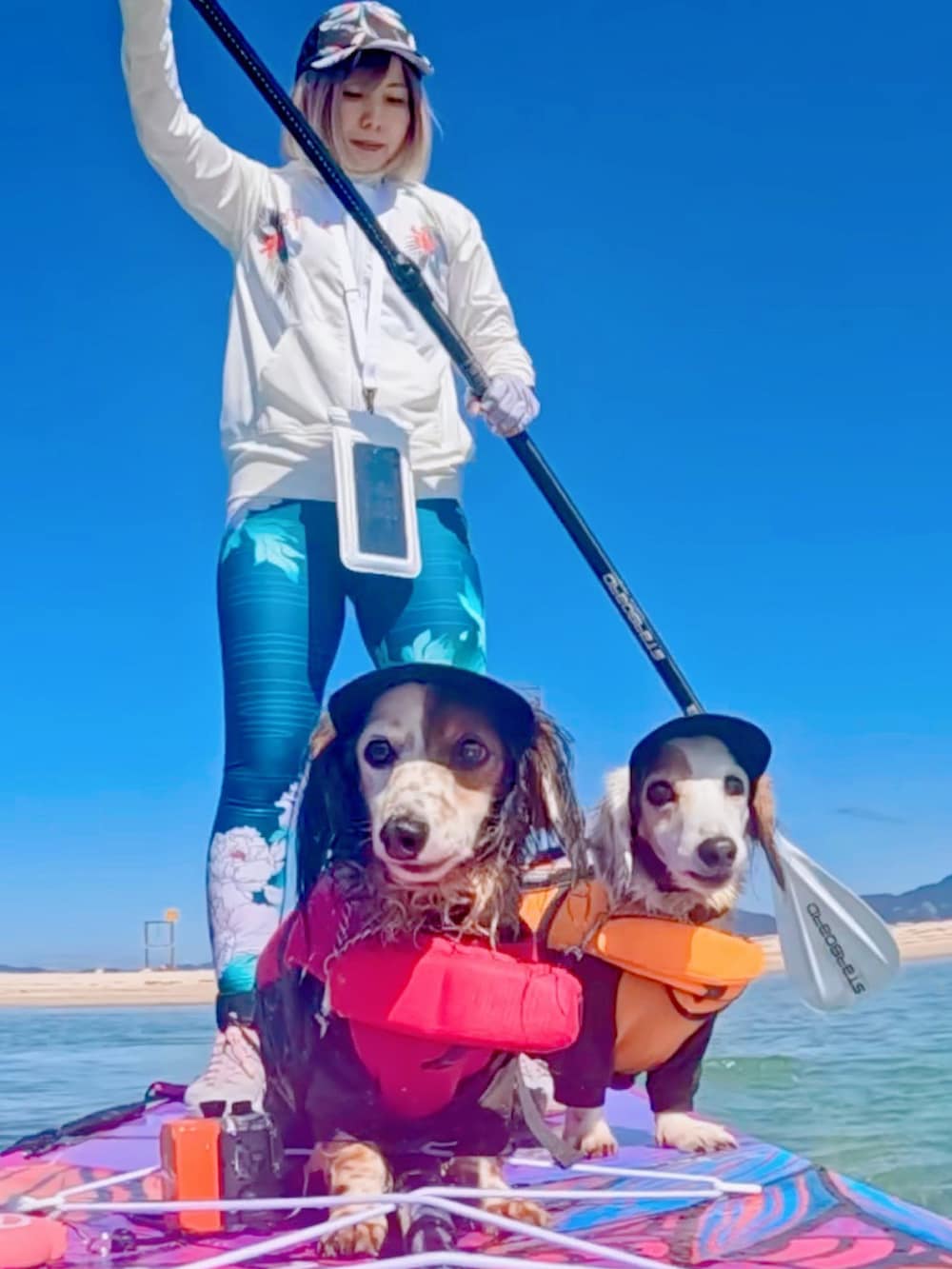 ホワイト系のラッシュガード、ブラック系のキャップ、ピンク系のウィッグを着用したレディースの秋コーディネートの2枚目の写真