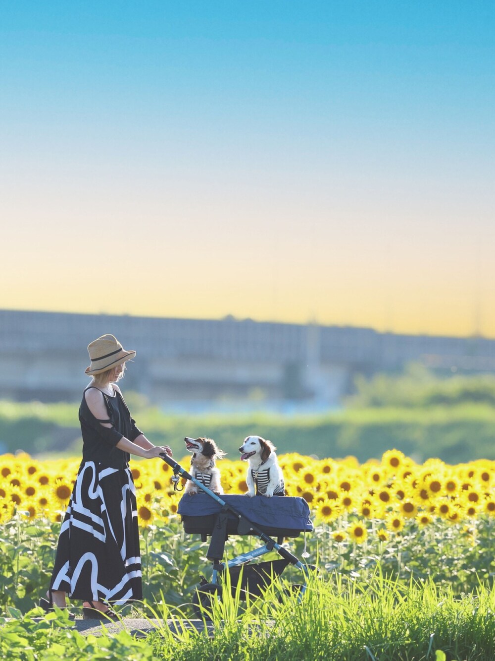 ブラック系のTシャツ/カットソー、ブラック系のスカート、ゴールド系のサンダルを着用したレディースの夏コーディネートの2枚目の写真