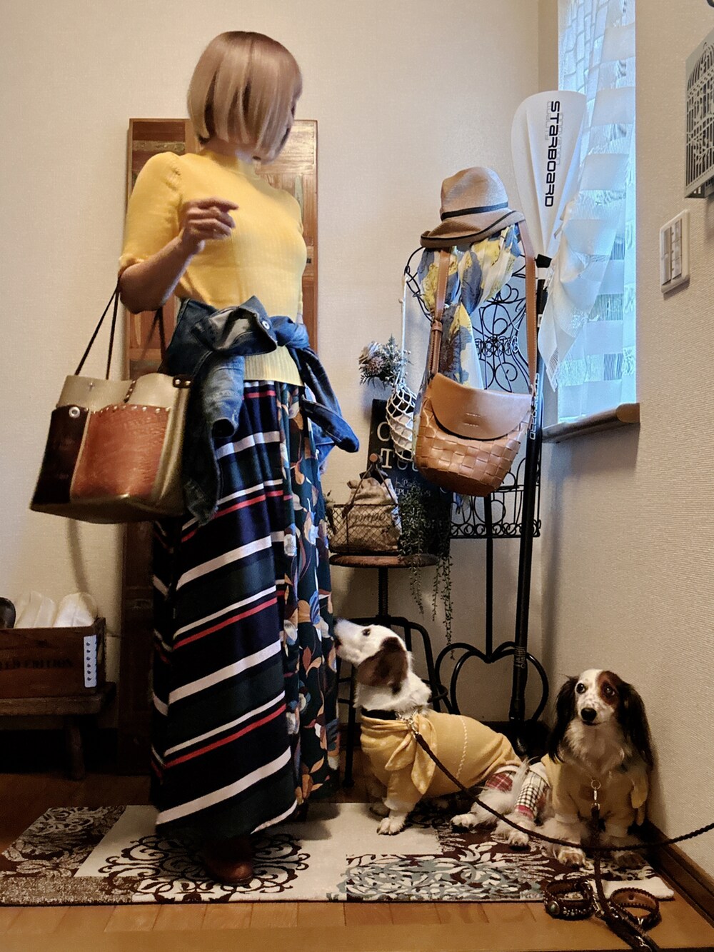 ブラウン系のショルダーバッグ、その他のスカート、ブルー系のデニムジャケットを着用したレディースの秋コーディネートの3枚目の写真