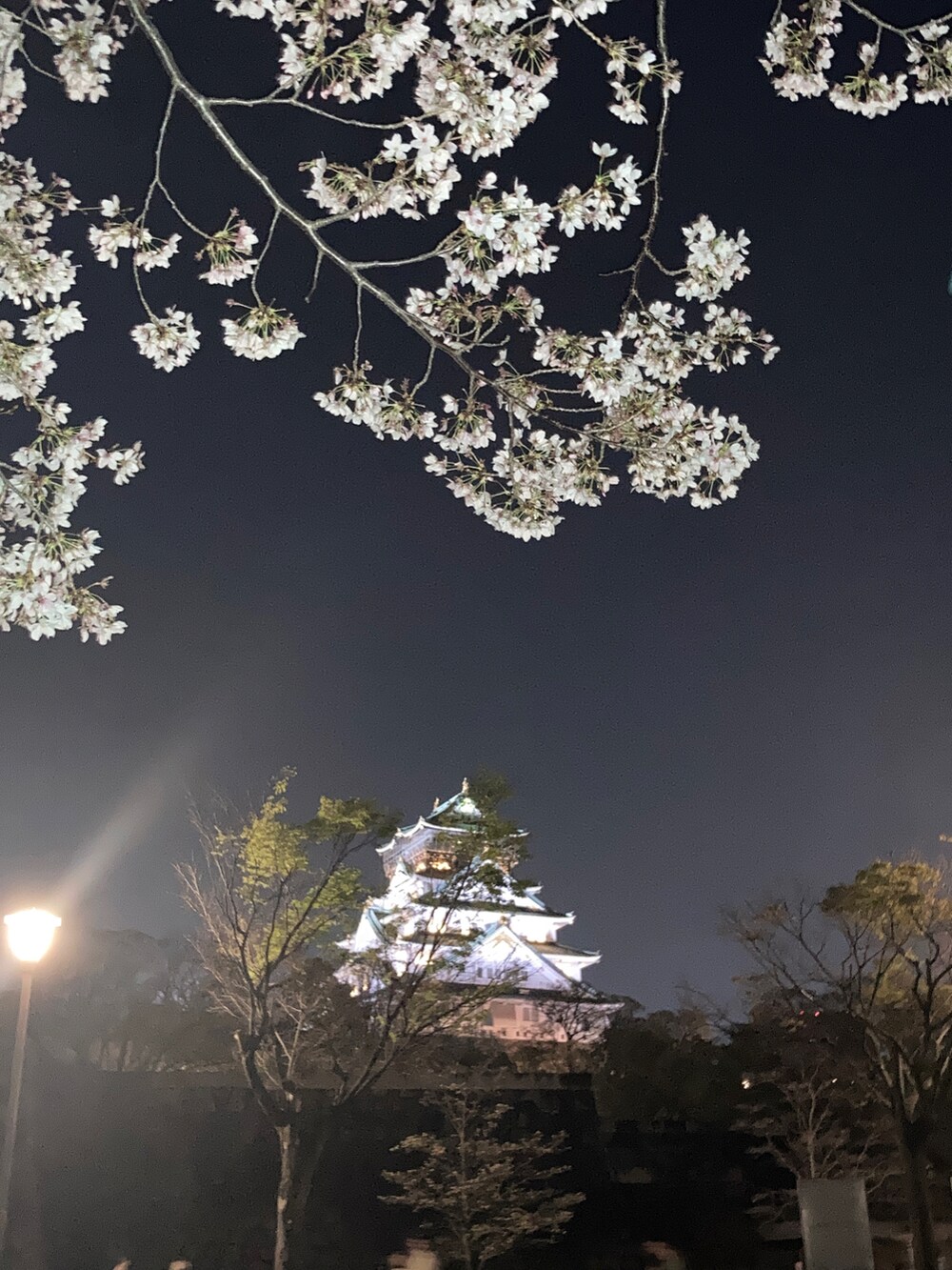 「春コーデ、カジュアルコーデ、大人カジュアル、お花見コーデ、夜桜、夜桜コーデ、春服コーデ、デニムジャケット、ピンクコーデ、ピンク、mite、miteガール、NIKE、NIKE AIR FORCE、着回しコーデ」｜「miteのオレゴン（Tシャツ/カットソー、ピンク系）」を使った、kaorin☆さん（骨格ストレート・レディース・156cm）の春コーディネートの2枚目の写真
