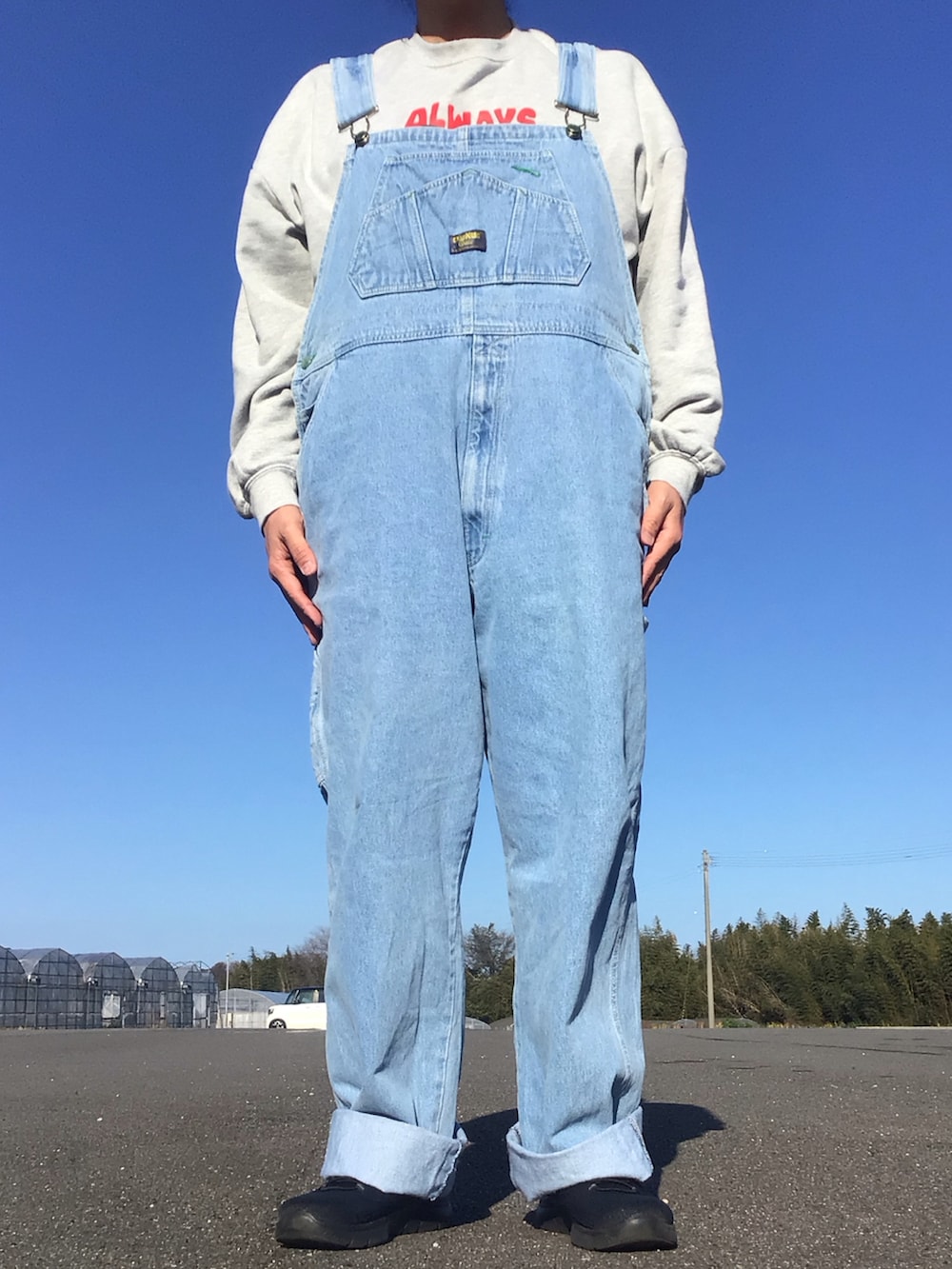 その他のスウェット、ブルー系のサロペット/オーバーオールを着用したメンズの春コーディネートの2枚目の写真