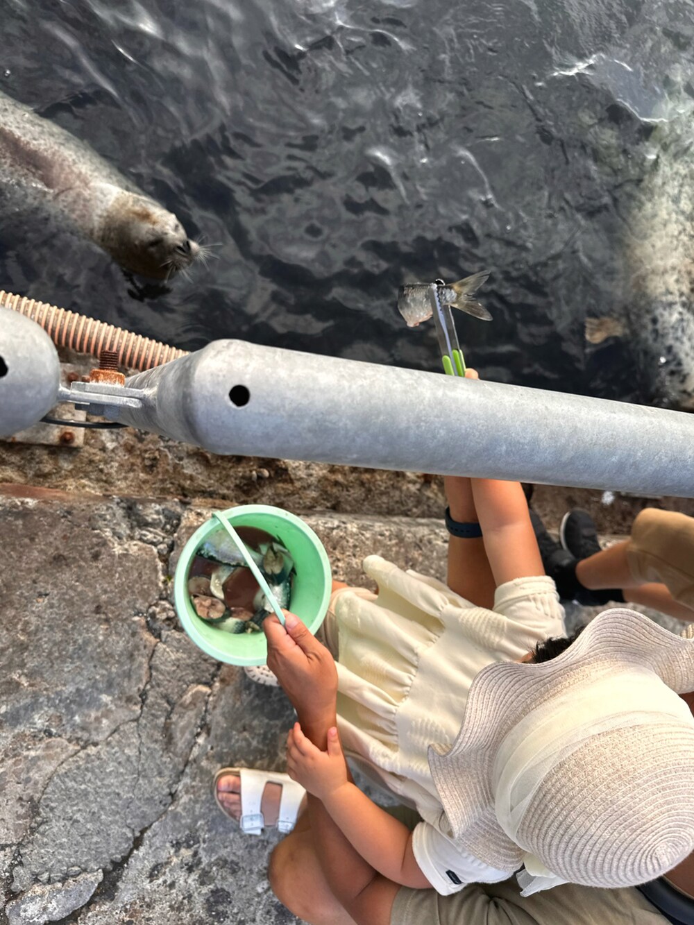 グレー系のTシャツ/カットソー、ベージュ系のその他パンツ、ブラック系のスニーカーを着用したキッズの秋コーディネートの3枚目の写真