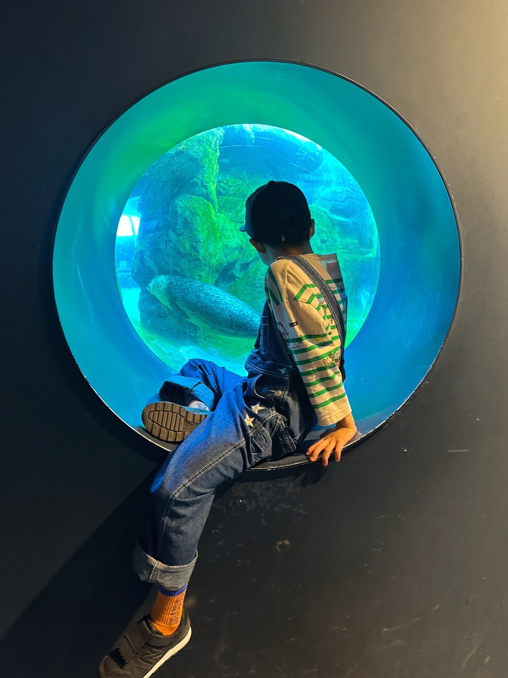 グリーン系のTシャツ/カットソー、ブルー系のサロペット/オーバーオール、ブラック系のスニーカーを着用したキッズの春コーディネートの3枚目の写真