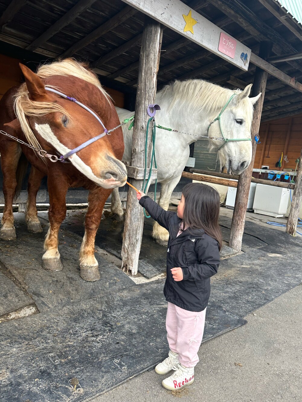 ピンク系のパーカー、ピンク系のその他パンツ、レッド系のスニーカーを着用したキッズの春コーディネートの5枚目の写真