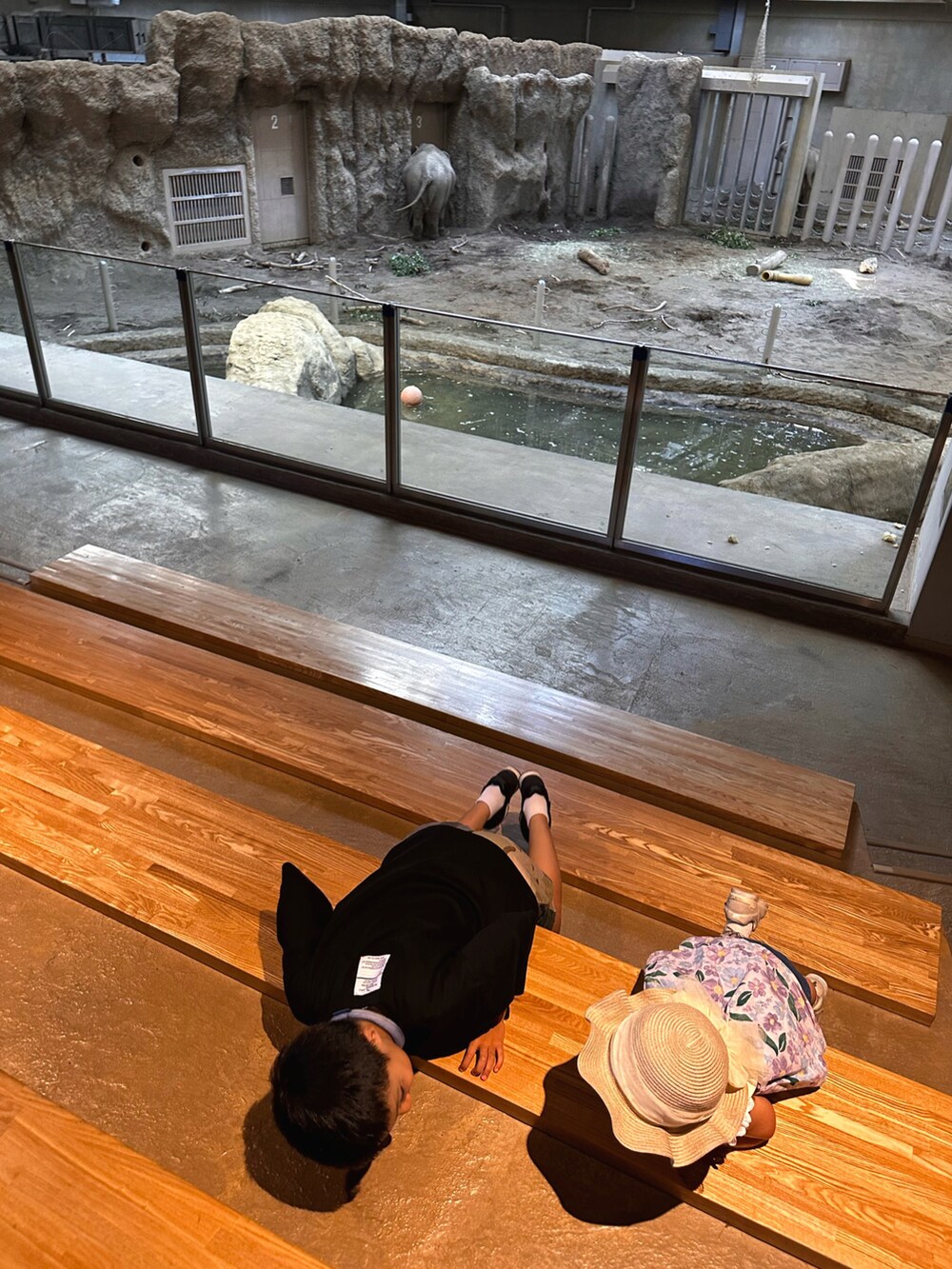 ブラック系のTシャツ/カットソー、グリーン系のその他パンツ、ブラック系のスニーカーを着用したキッズの秋コーディネートの2枚目の写真