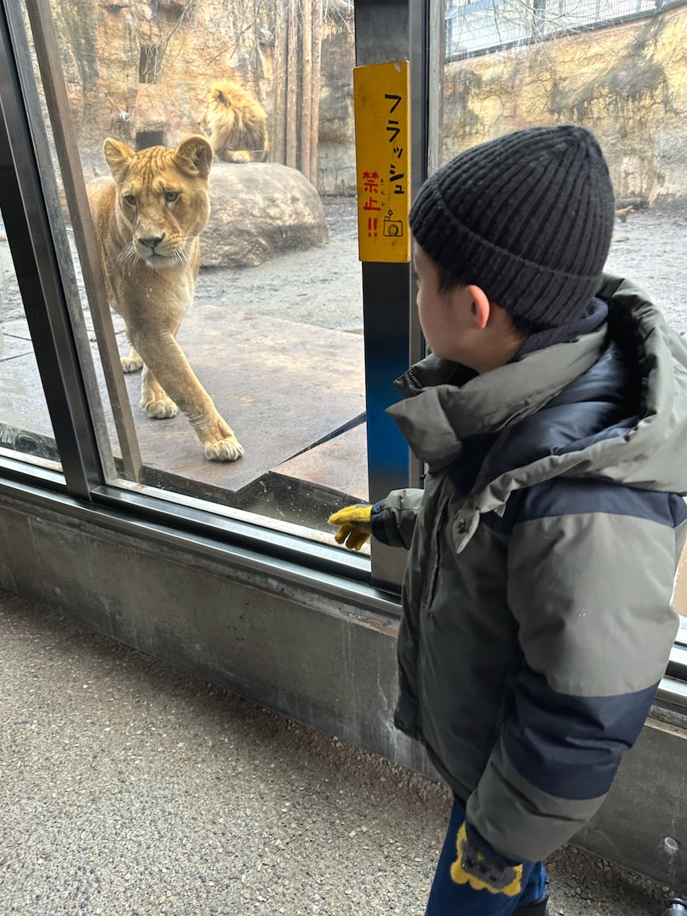 グリーン系のダウンジャケット/コート、ブラック系のパンツ、ブラック系のブーツを着用したキッズの秋コーディネートの5枚目の写真