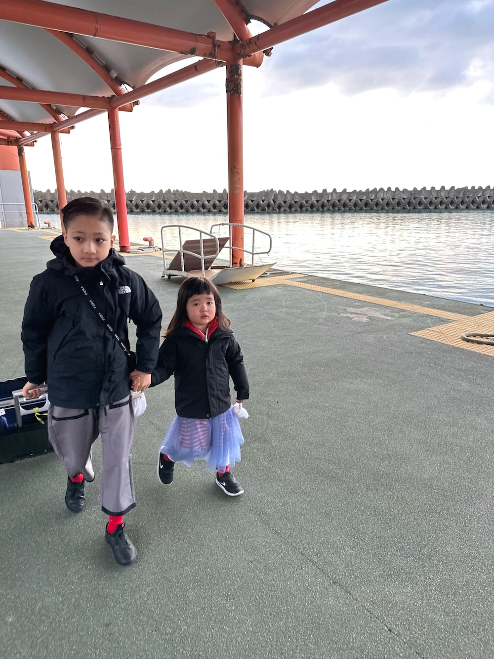 レッド系のワンピース、ブラック系のスニーカー、ブラック系のマウンテンパーカーを着用したキッズの春コーディネートの5枚目の写真